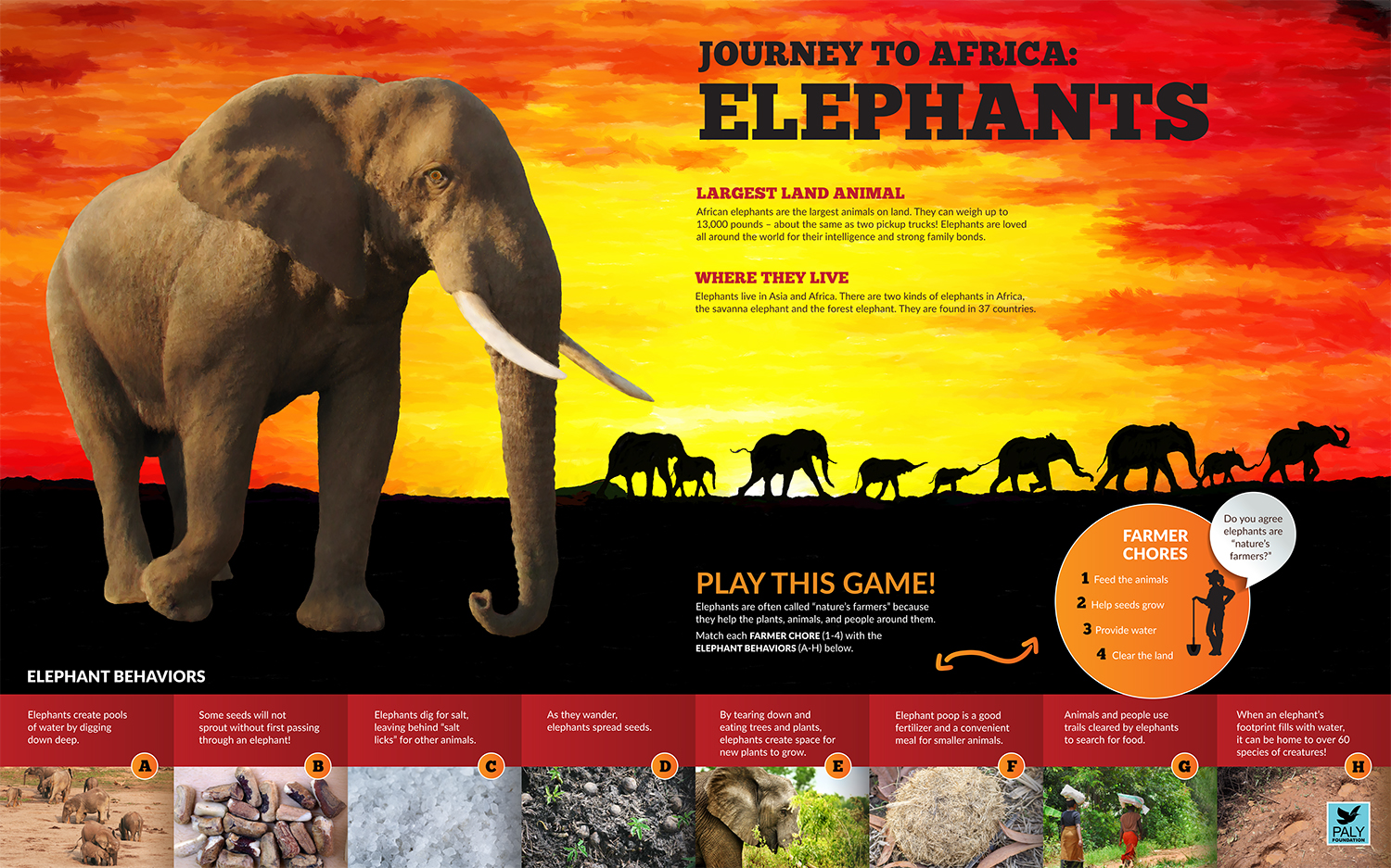 Elephants_Engagement_Panel_Paly_Foundation_Web.jpg