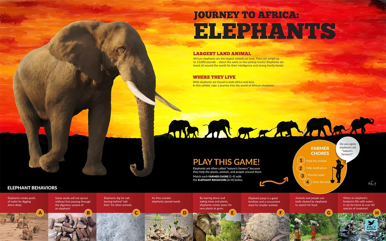 Elephants_Engagement_Panel_Paly_Foundation_Web.jpg