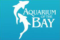 Aquarium of the Bay.jpg