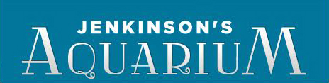 Jenkinson's Aquarium.jpg