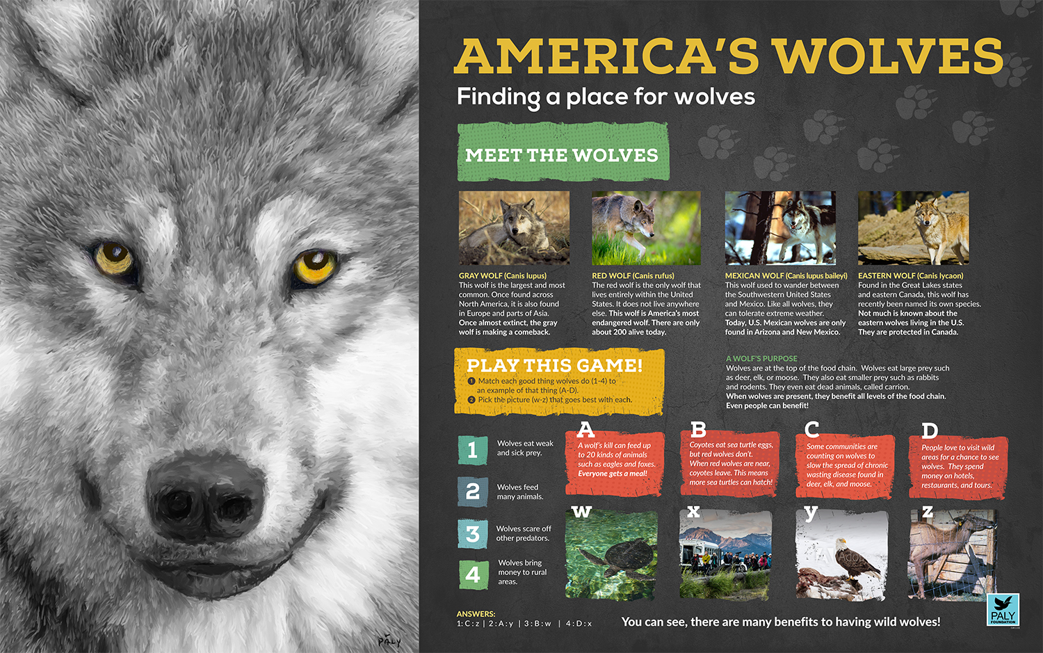 Wolves_Engagement_Panel_Paly_Foundation_Web.jpg