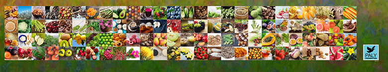 Pollinator_foods_Paly_Foundation.png