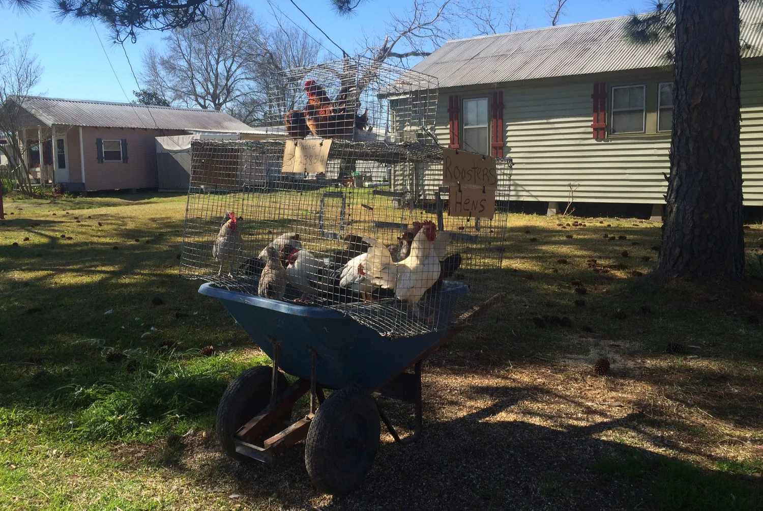 Off Track Odds and Ends