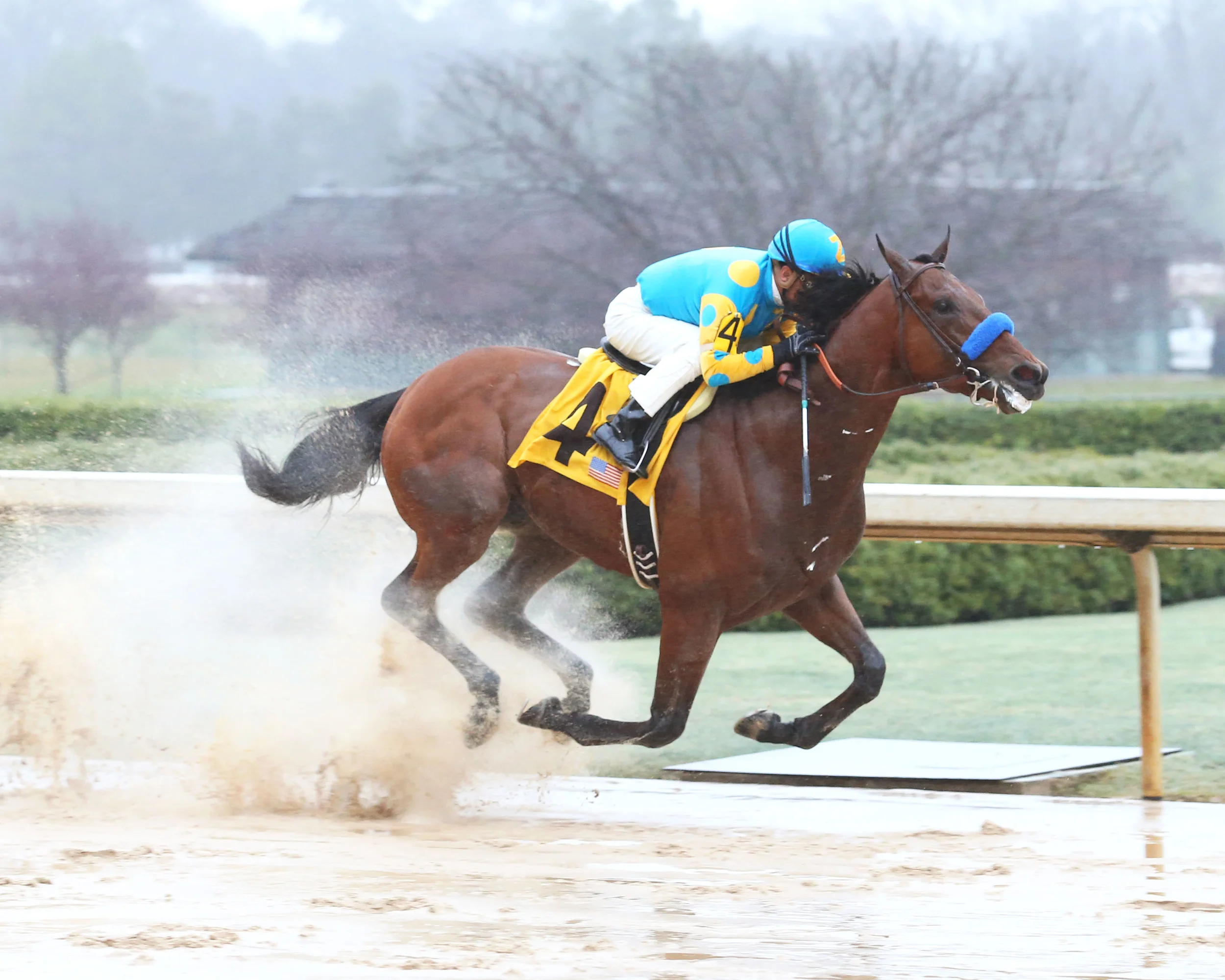 Photo Credit: http://www.kentuckyderby.com/