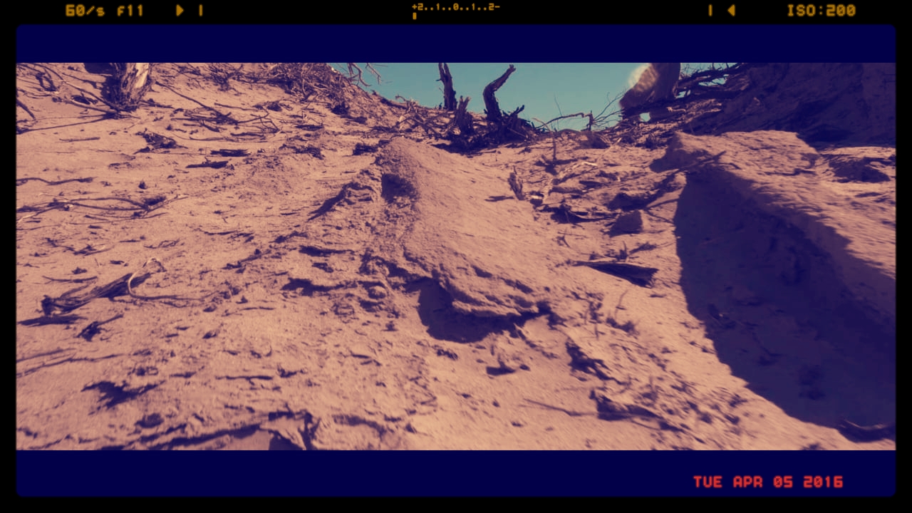 WASTELAND