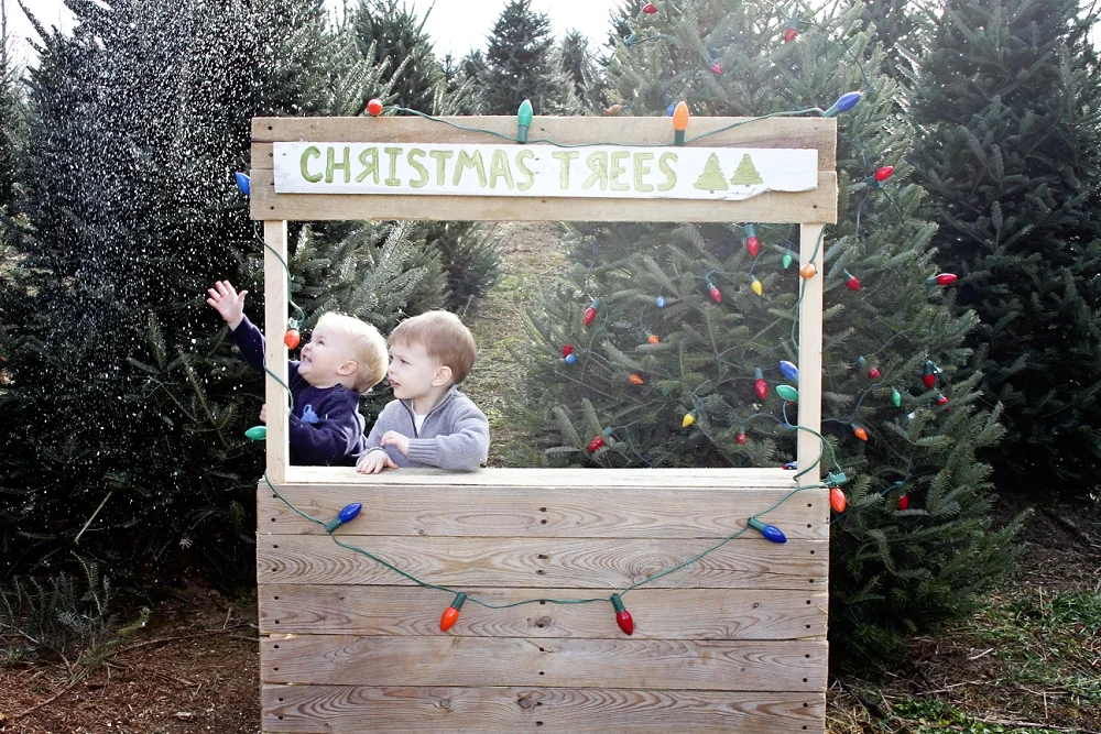 christmas-tree-farm-photos-blacksburg-photographer_0001.jpg