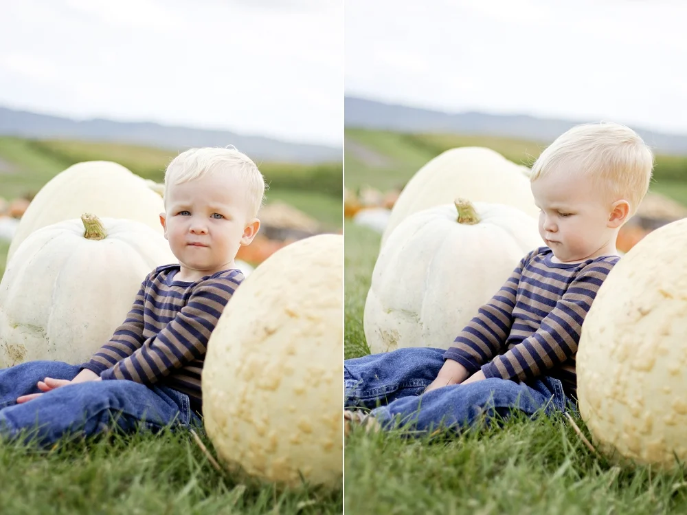 sinkland-farms-pumpkin-patch-photos_0004.jpg