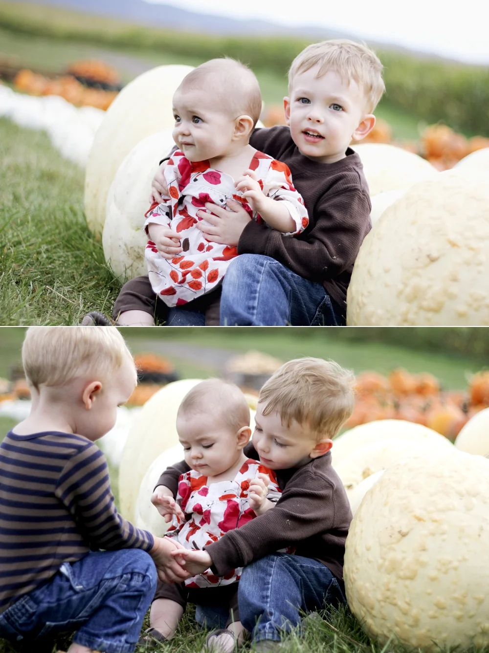 sinkland-farms-pumpkin-patch-photos_0003.jpg