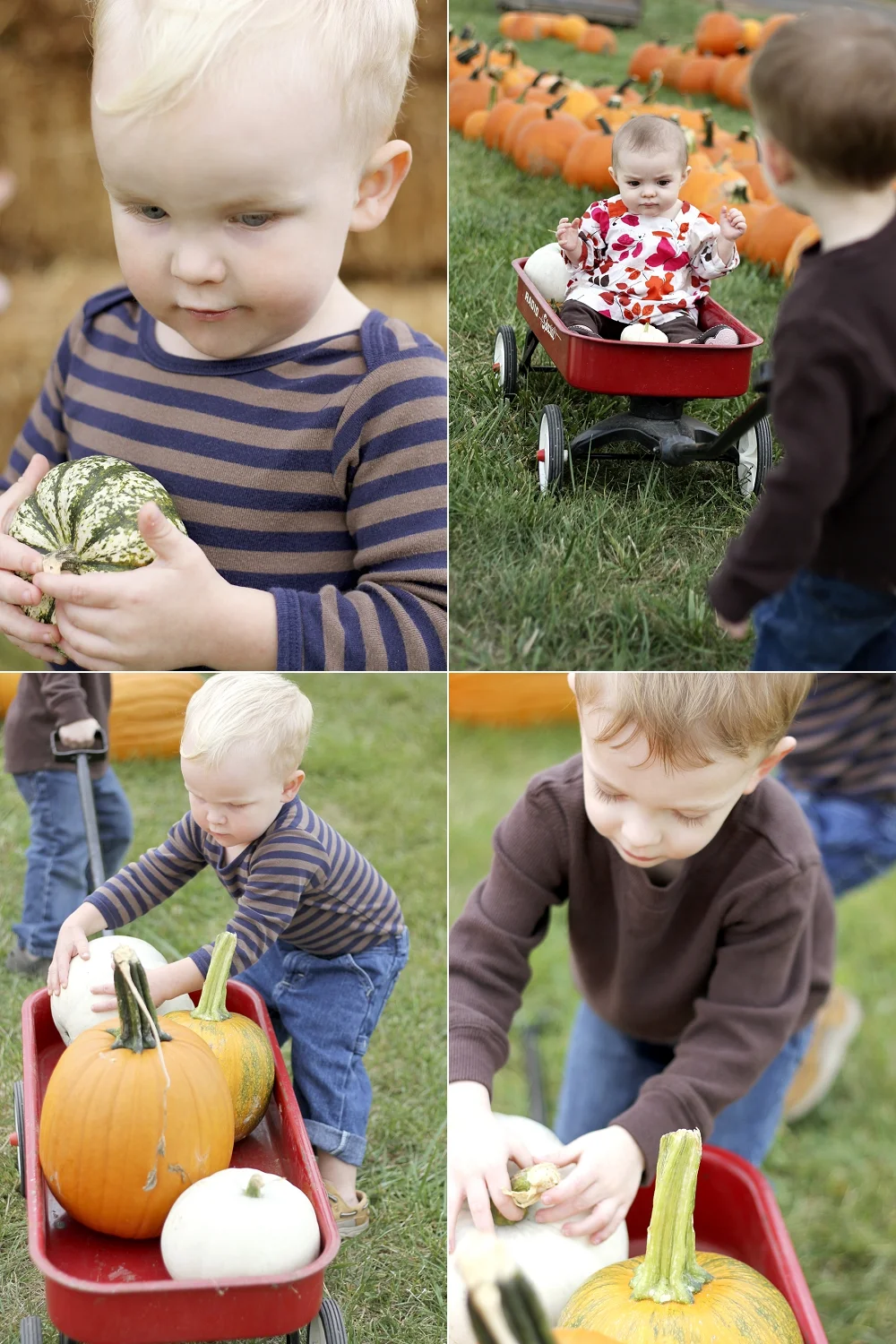 sinkland-farms-pumpkin-patch-photos_0010.jpg