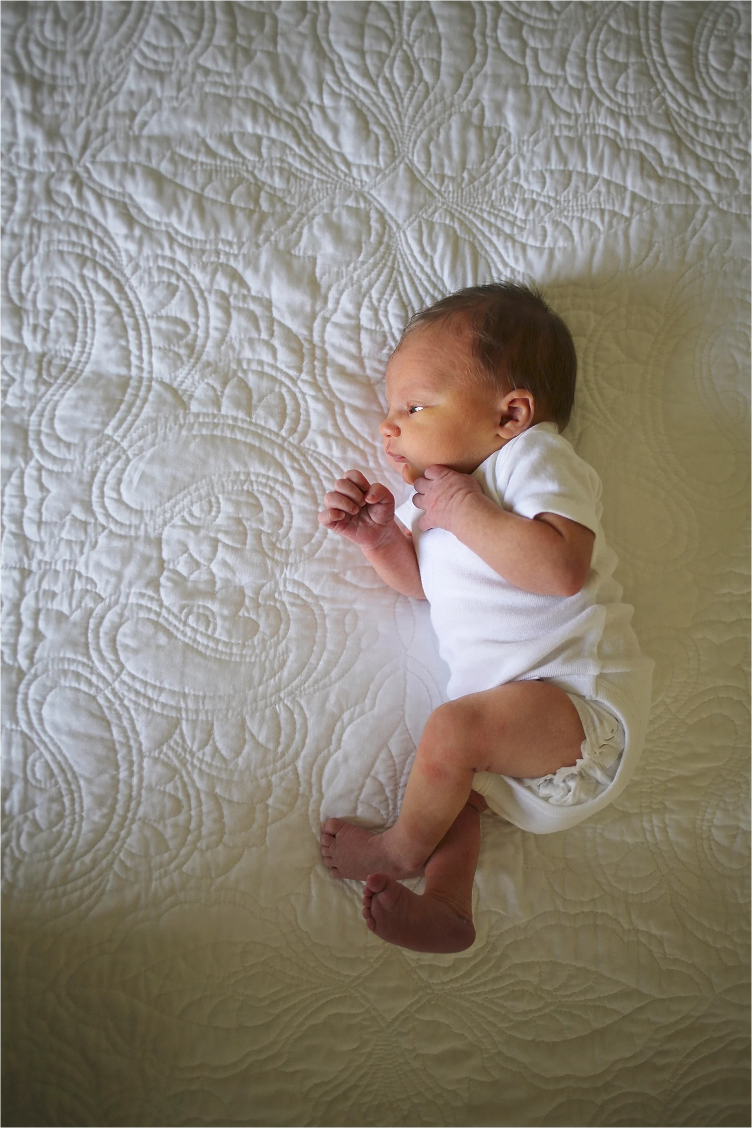 Roanoke Newborn Photographer