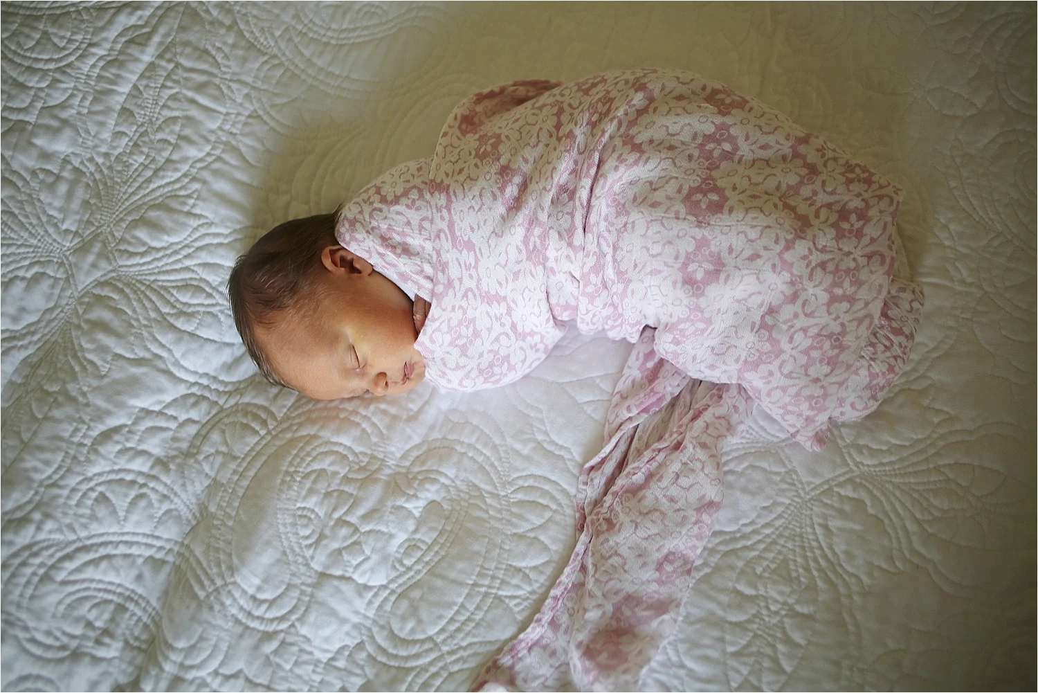 Roanoke Newborn Photographer