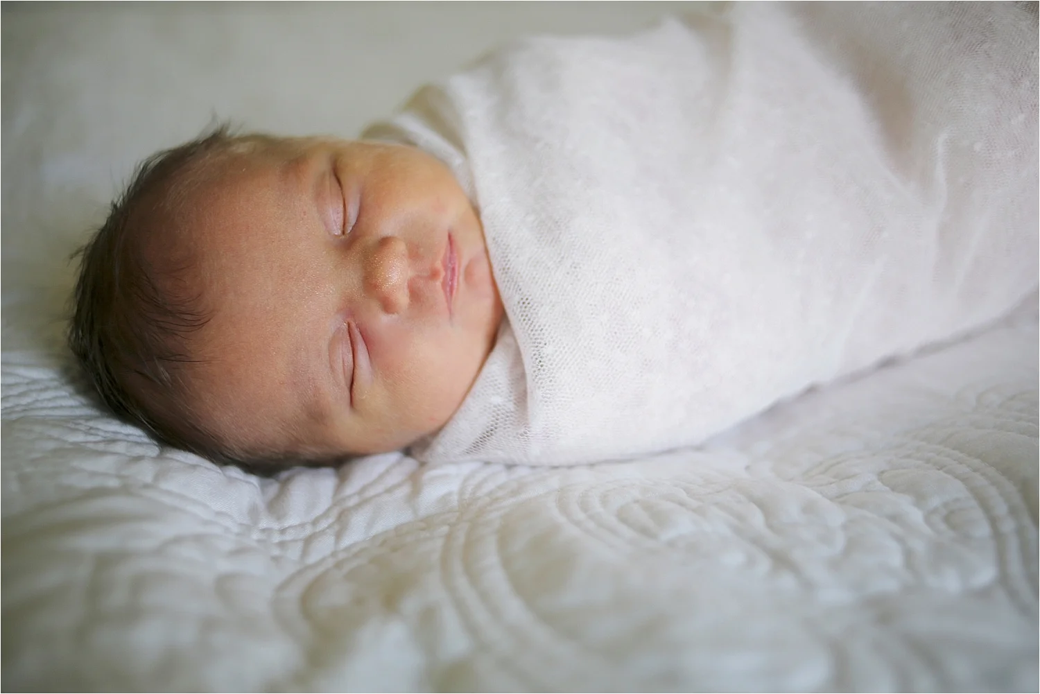 Roanoke Newborn Photographer