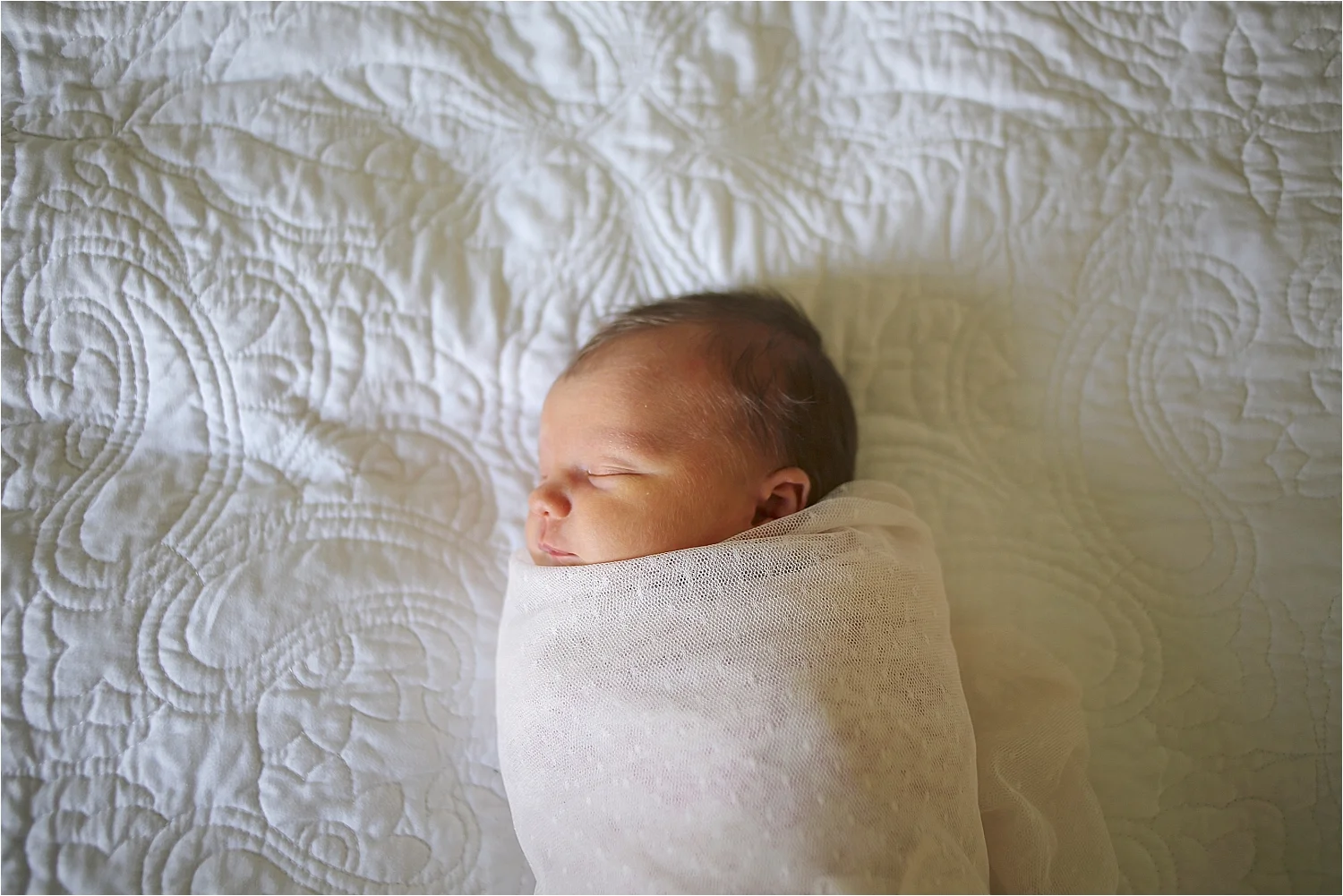 Roanoke Newborn Photographer