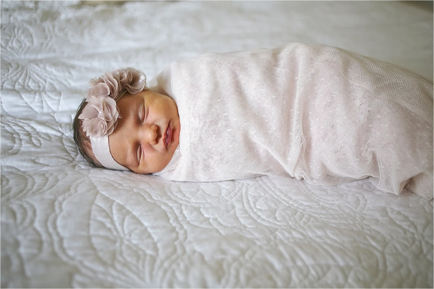 Roanoke Newborn Photographer