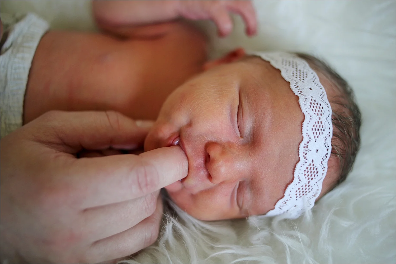 Roanoke Newborn Photographer