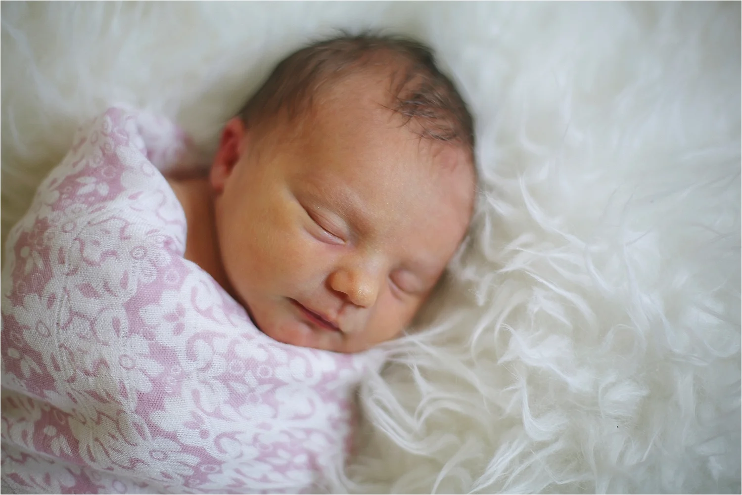 Roanoke Newborn Photographer