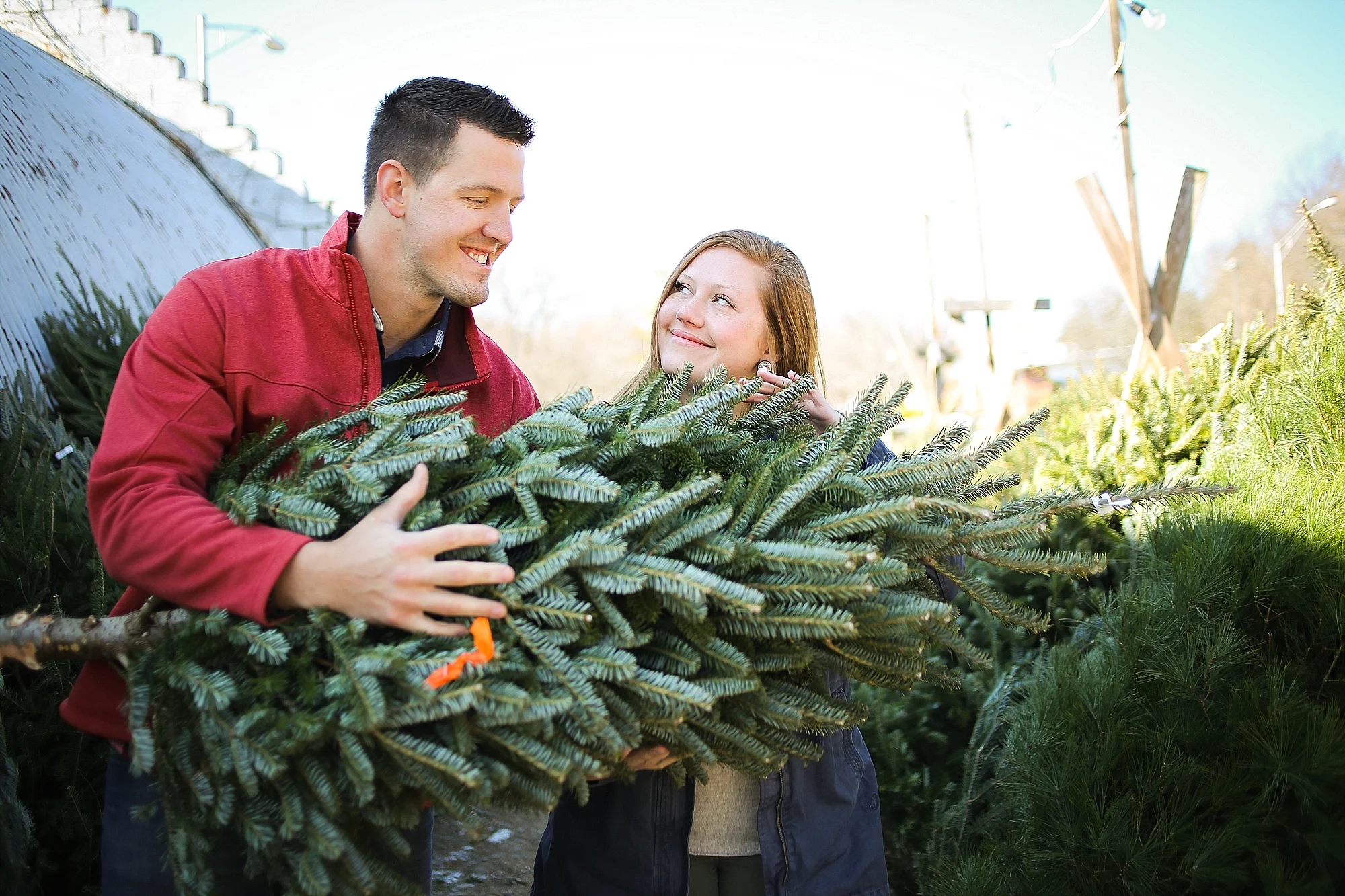 Danielle + Michael | Blacksburg Christmas Card Photographer, Holly Cromer