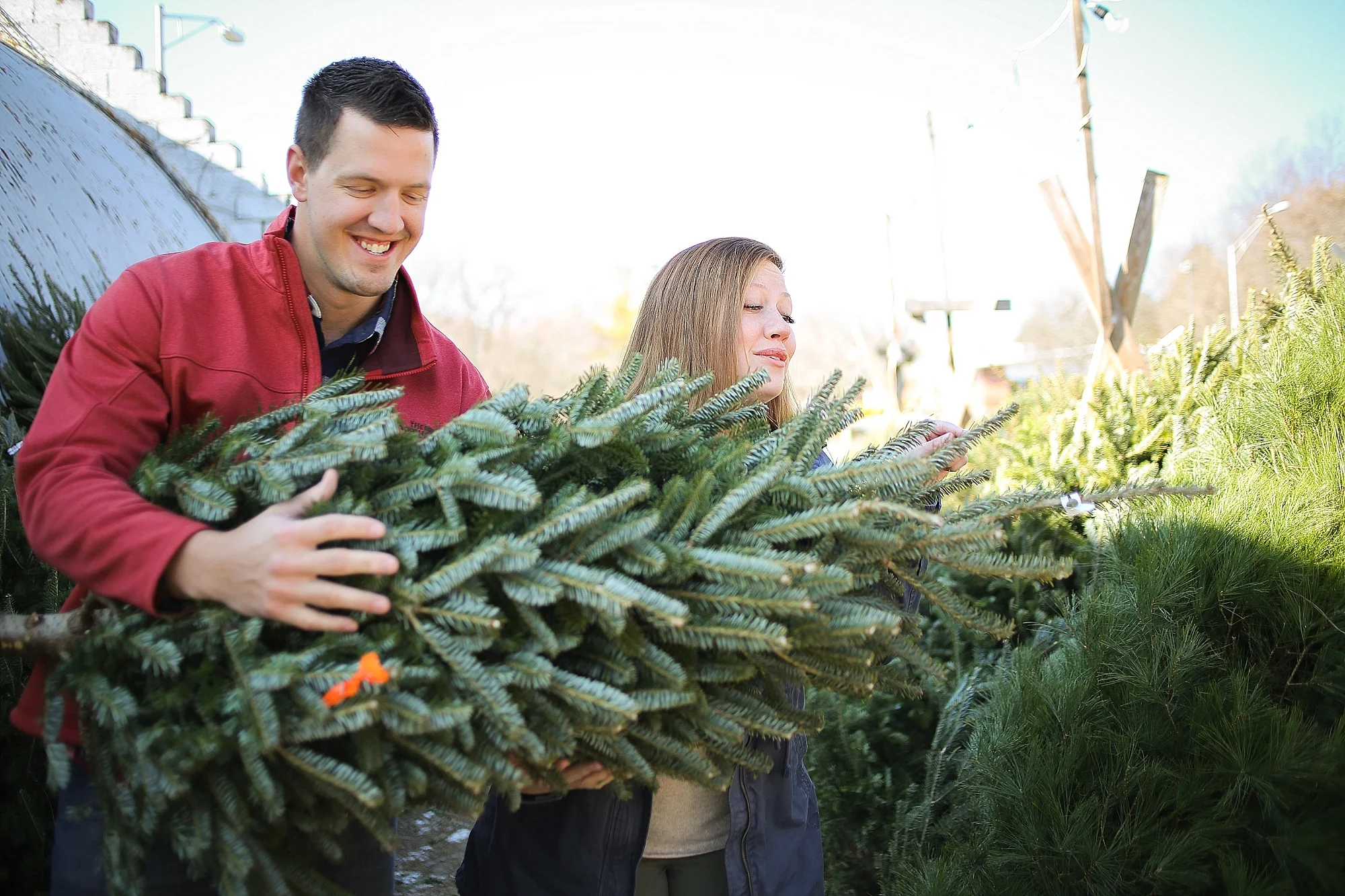 Danielle + Michael | Blacksburg Christmas Card Photographer, Holly Cromer