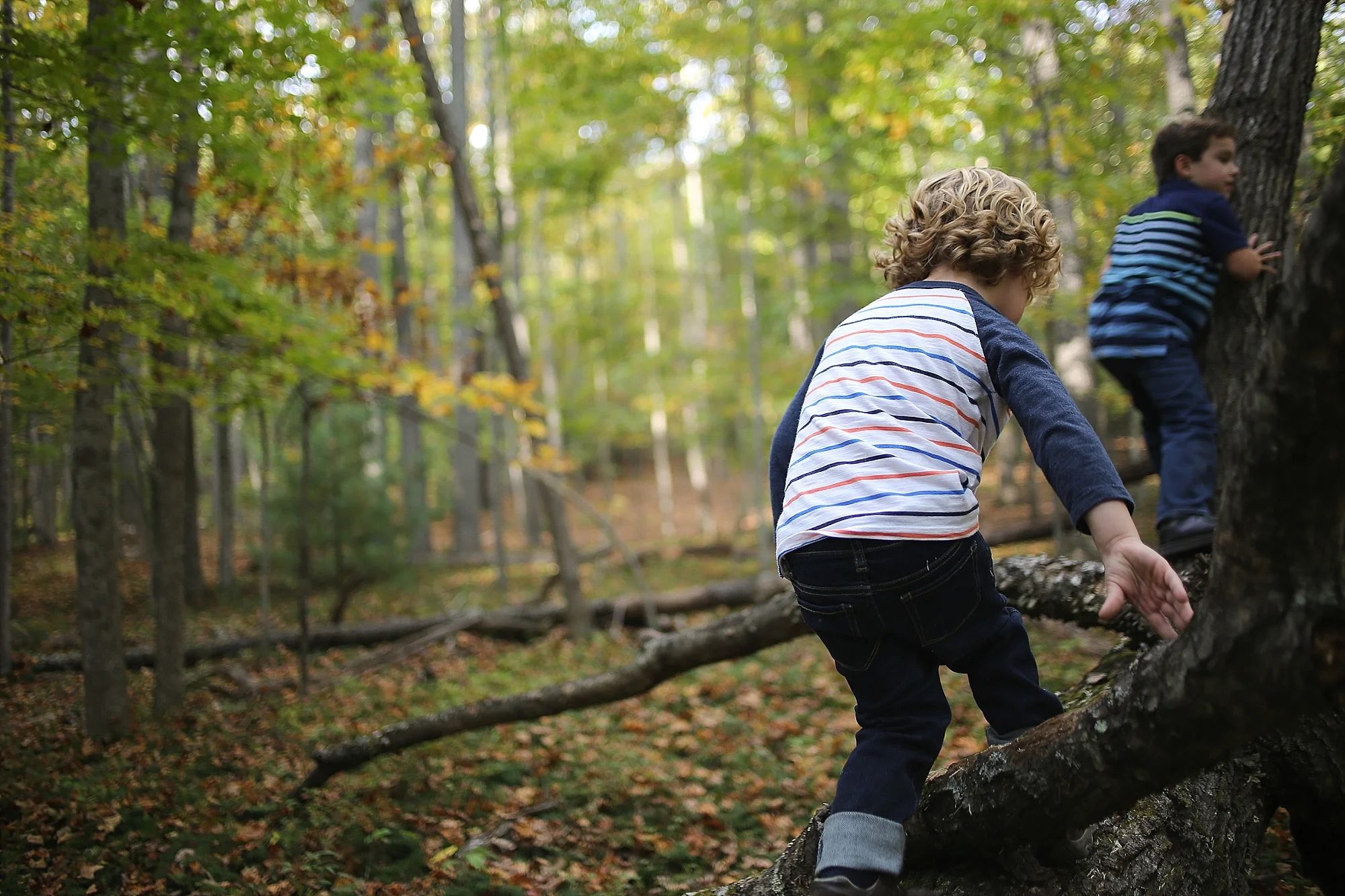 Pandapas Pond Family Photos | Blacksburg, Virginia Family Portrait Photographer