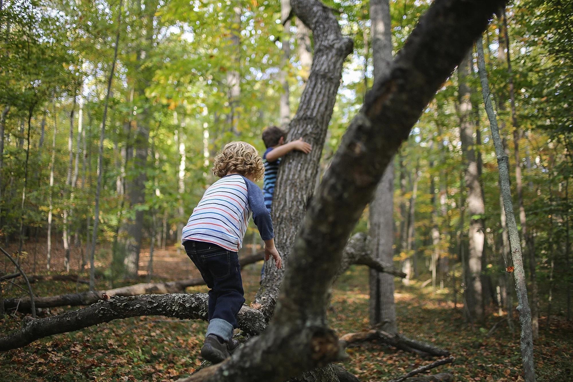 Pandapas Pond Family Photos | Blacksburg, Virginia Family Portrait Photographer
