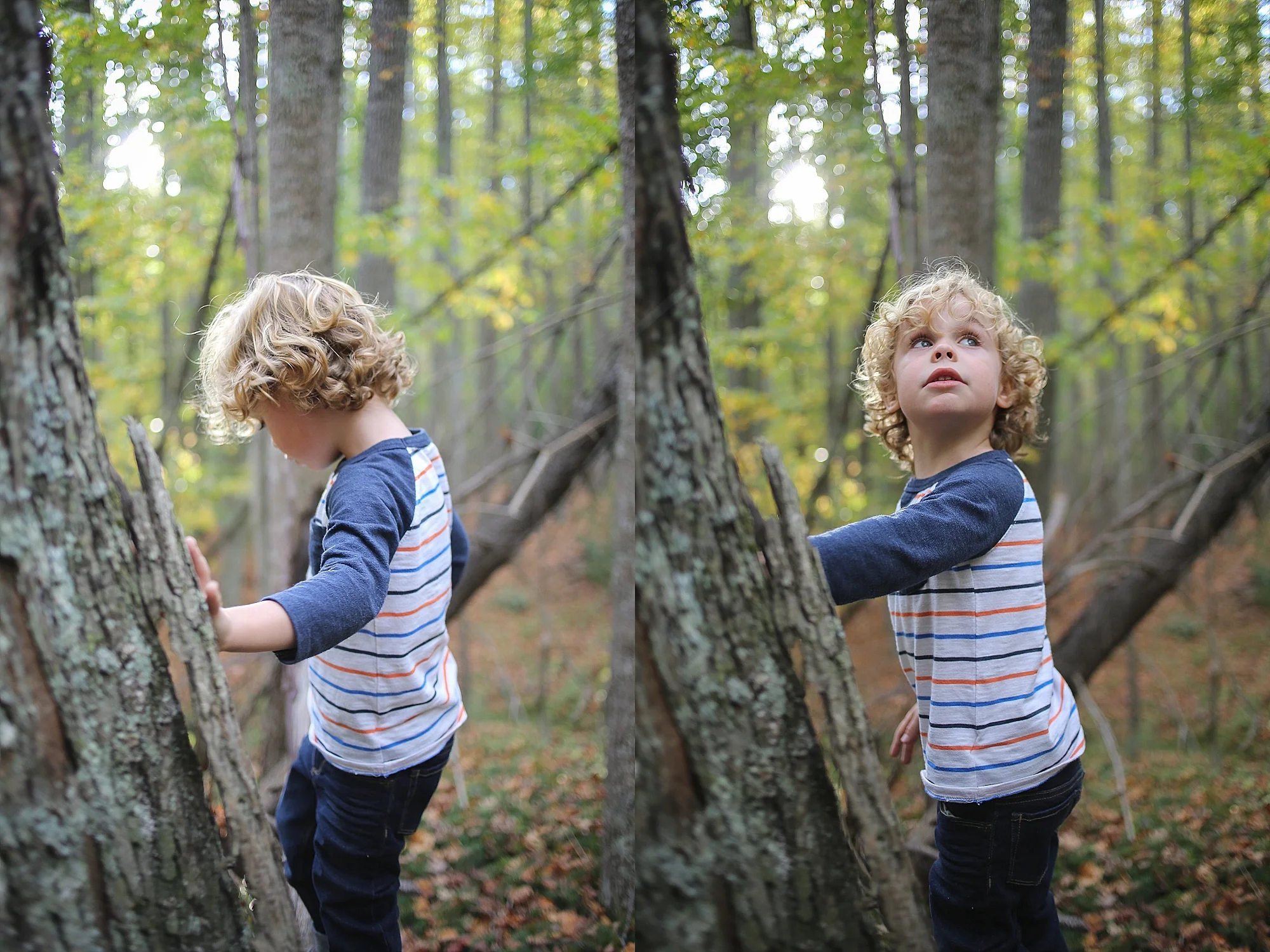 Pandapas Pond Family Photos | Blacksburg, Virginia Family Portrait Photographer