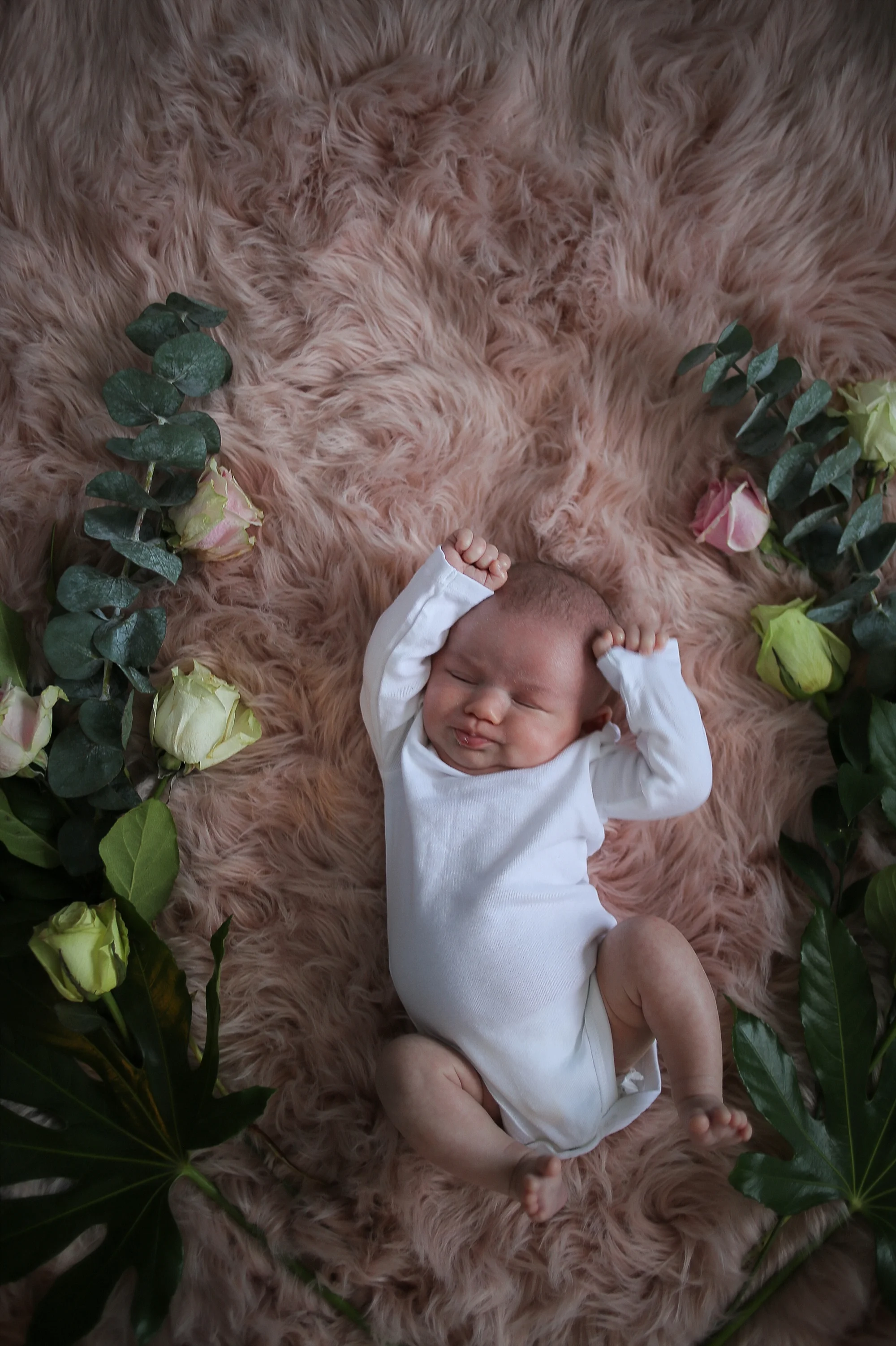Christiansburg Baby Photographer, Holly Cromer