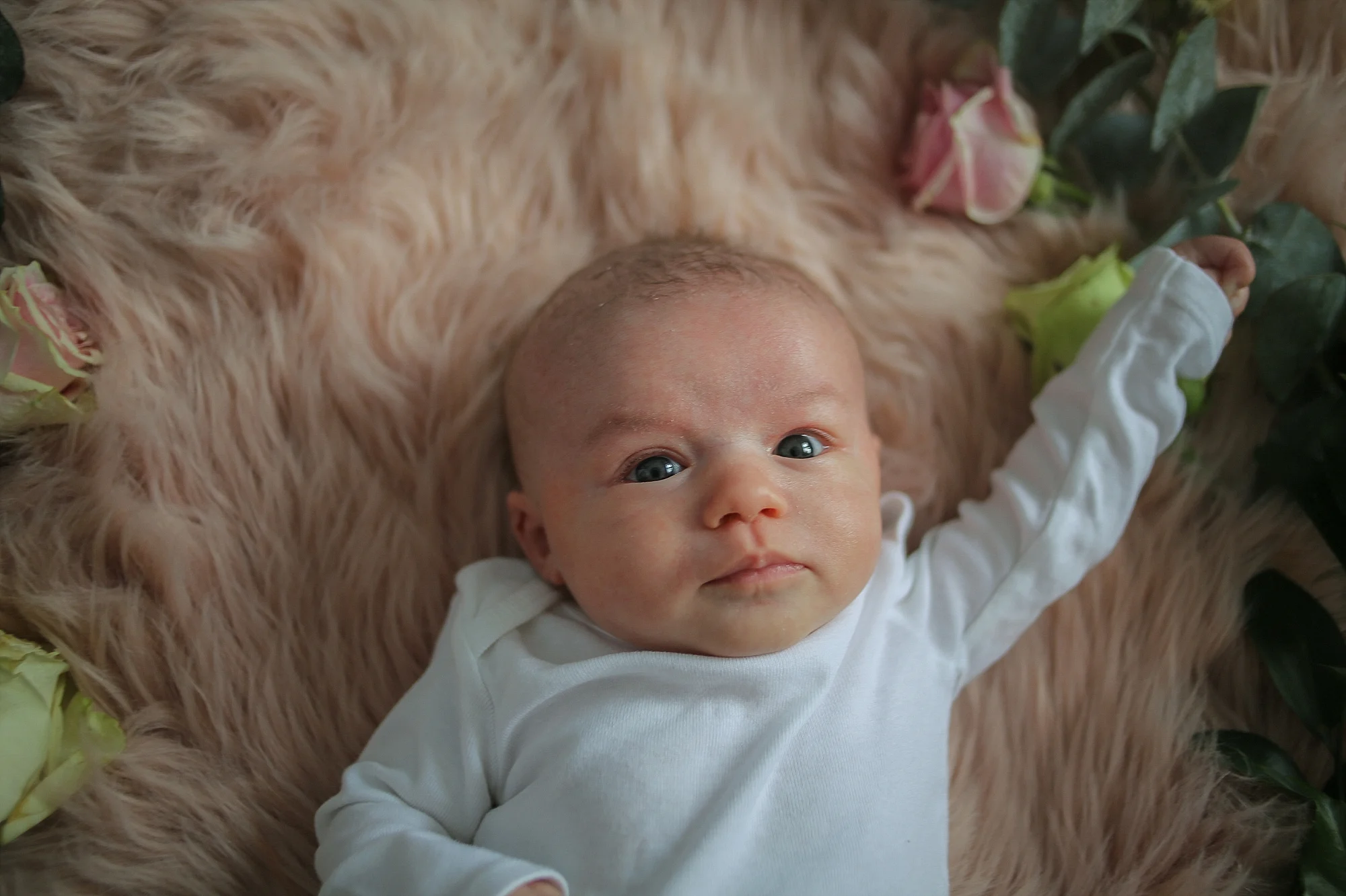 Christiansburg Baby Photographer, Holly Cromer