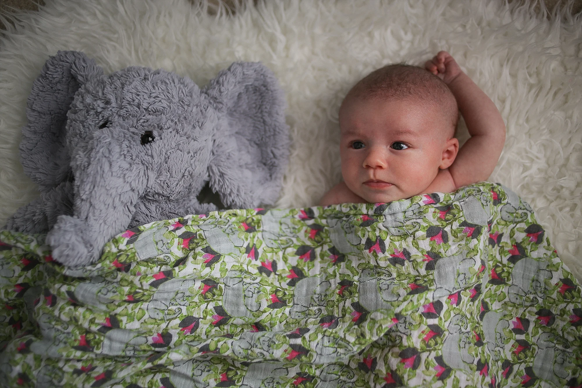 Christiansburg Baby Photographer, Holly Cromer