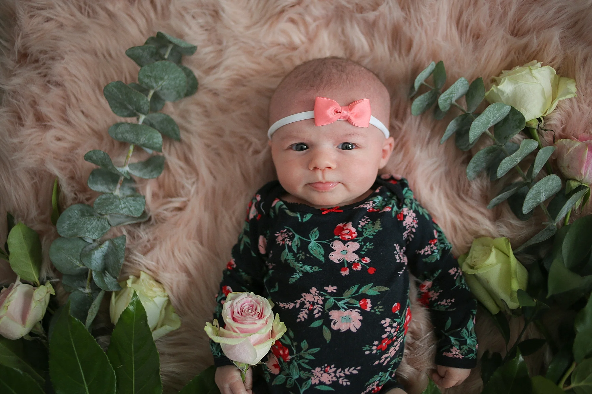 Christiansburg Baby Photographer, Holly Cromer