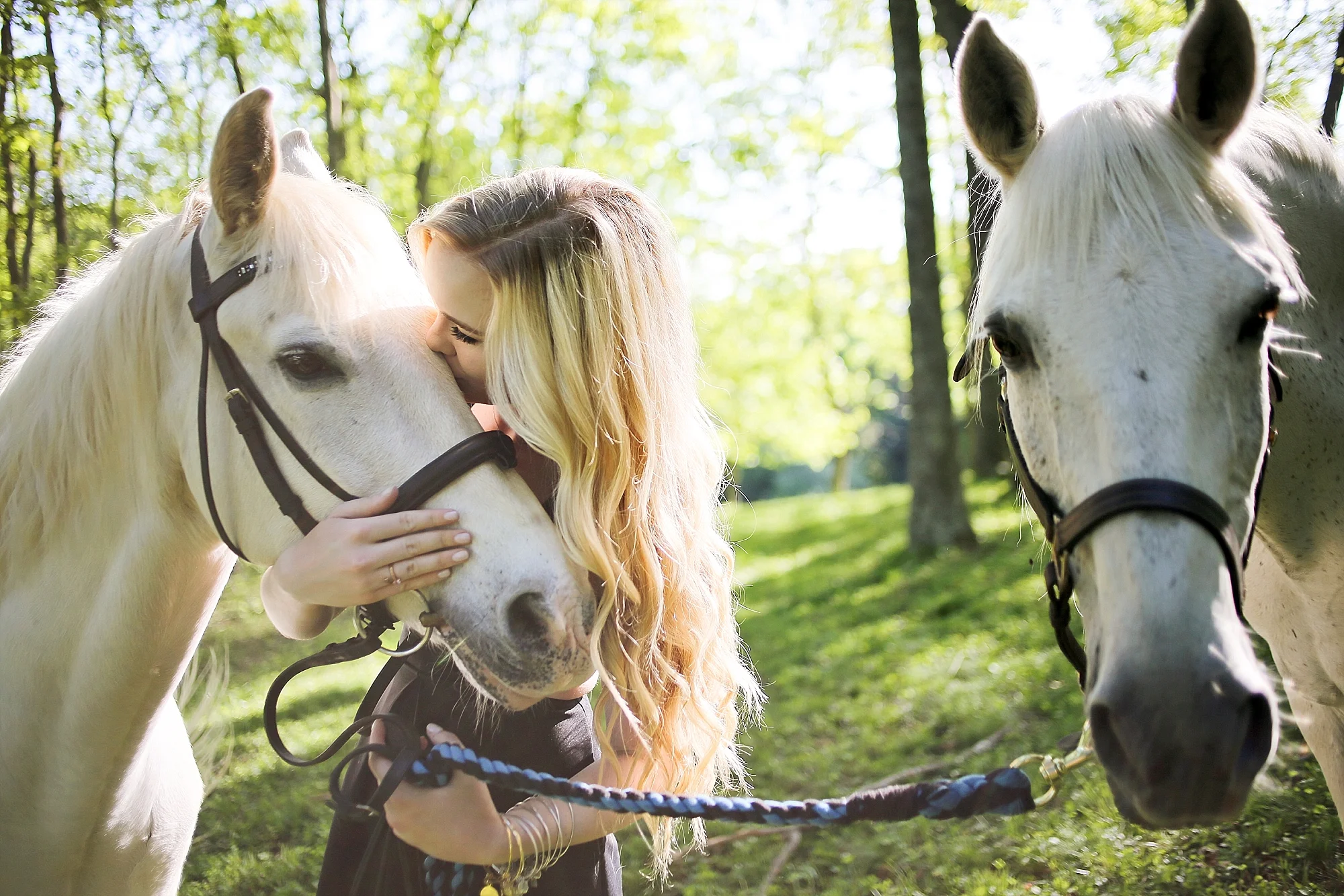Molly | Virginia Tech Senior Portraits with Horses