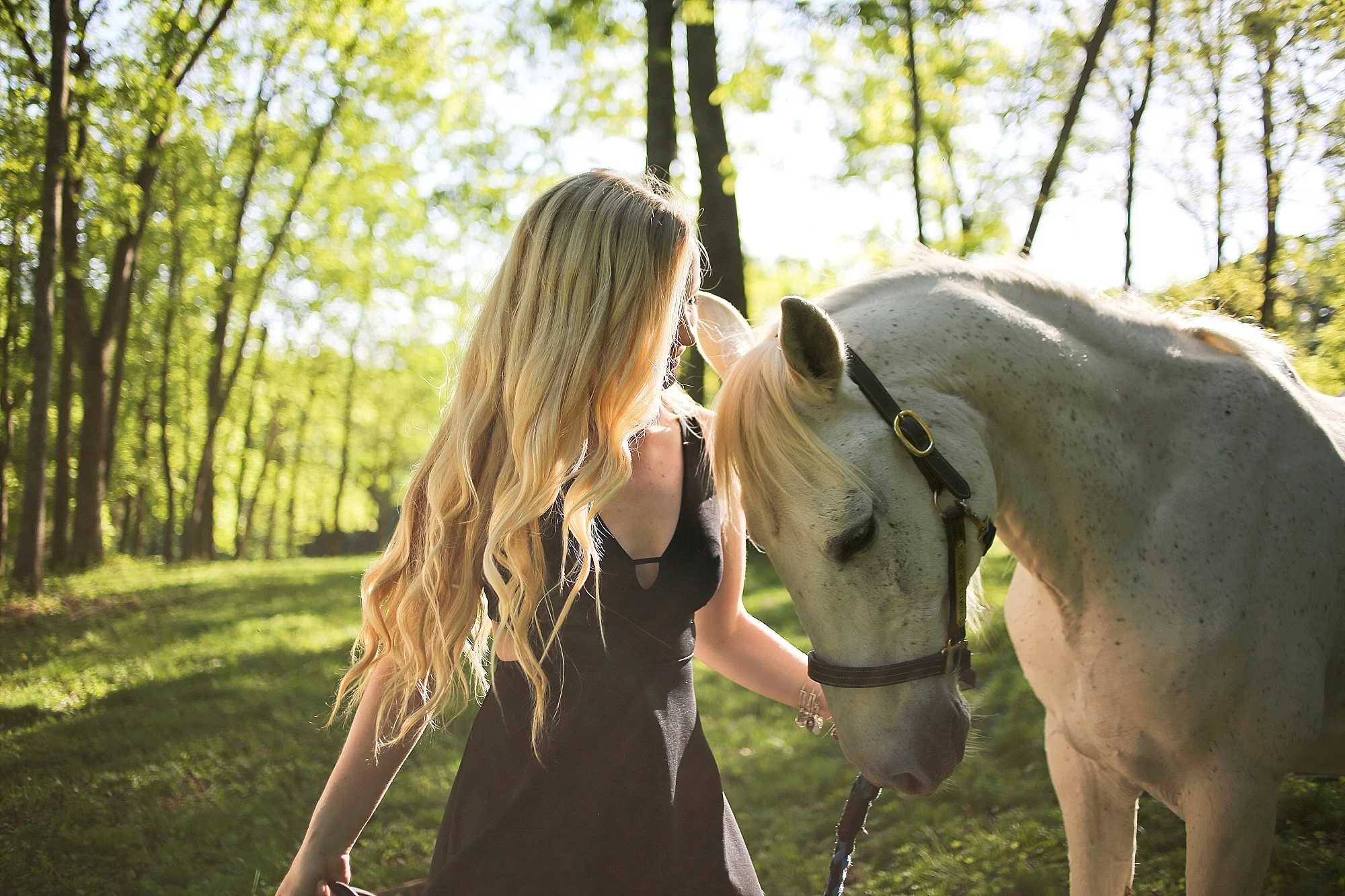 Molly | Virginia Tech Senior Portraits with Horses