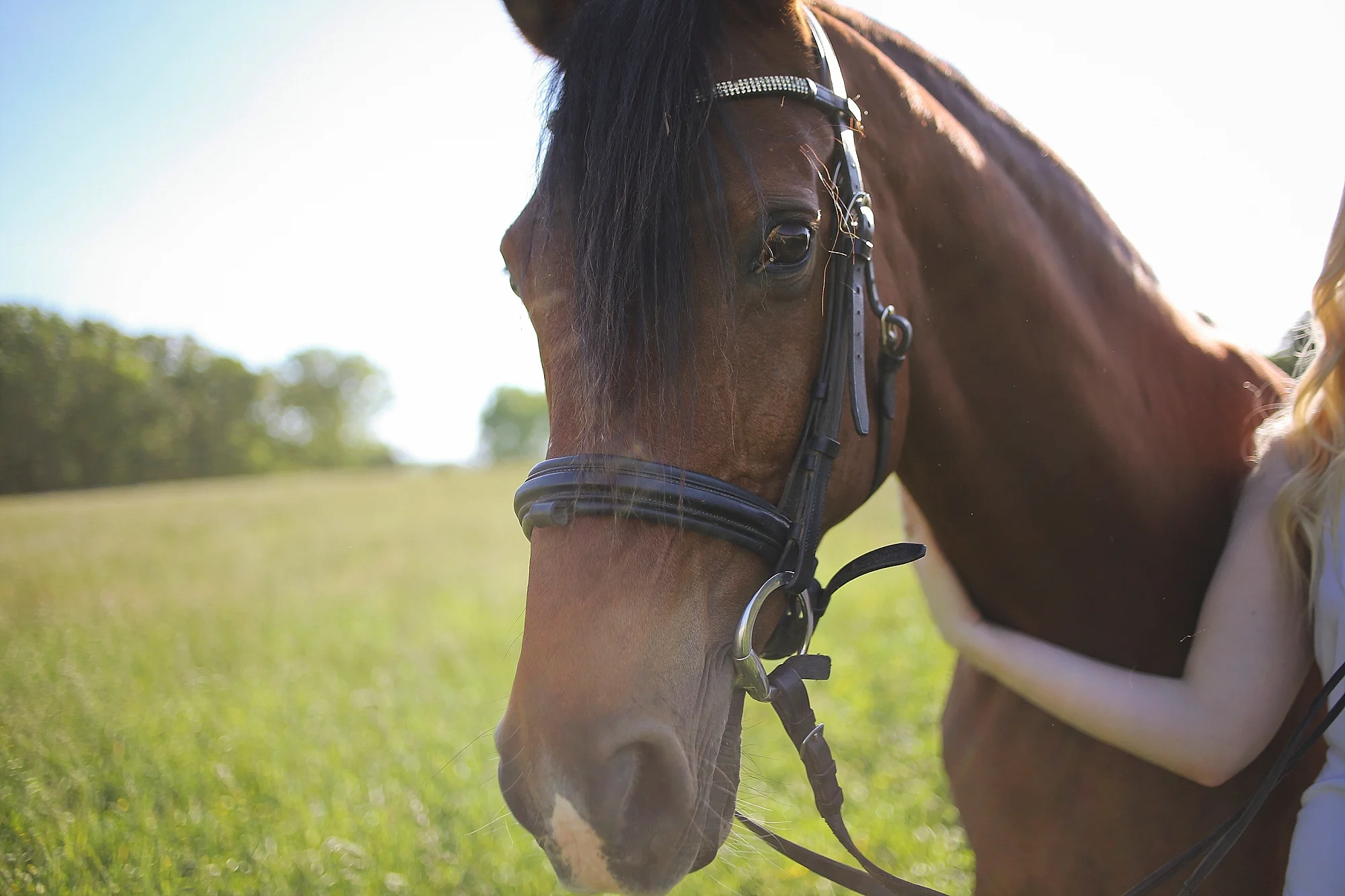 Molly | Virginia Tech Senior Portraits with Horses
