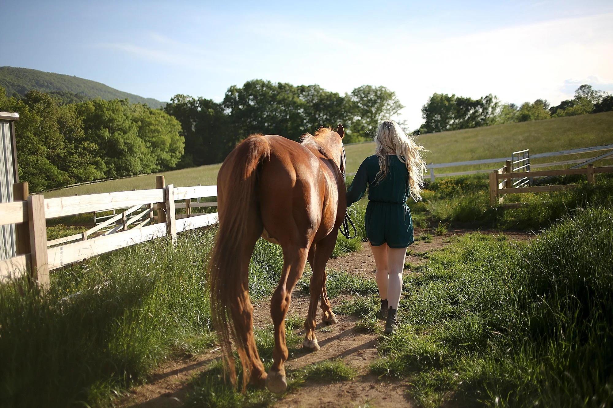 Molly | Virginia Tech Senior Portraits with Horses
