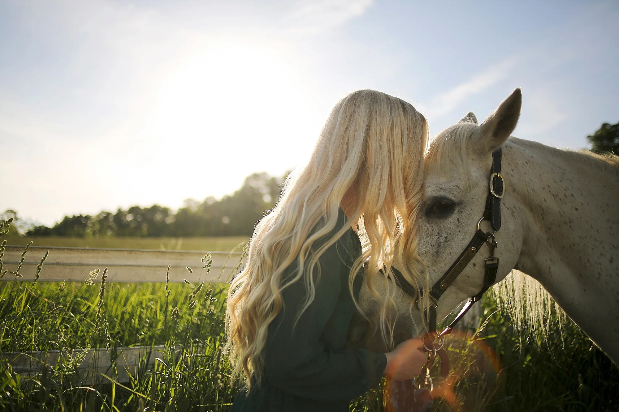 Molly | Virginia Tech Senior Portraits with Horses
