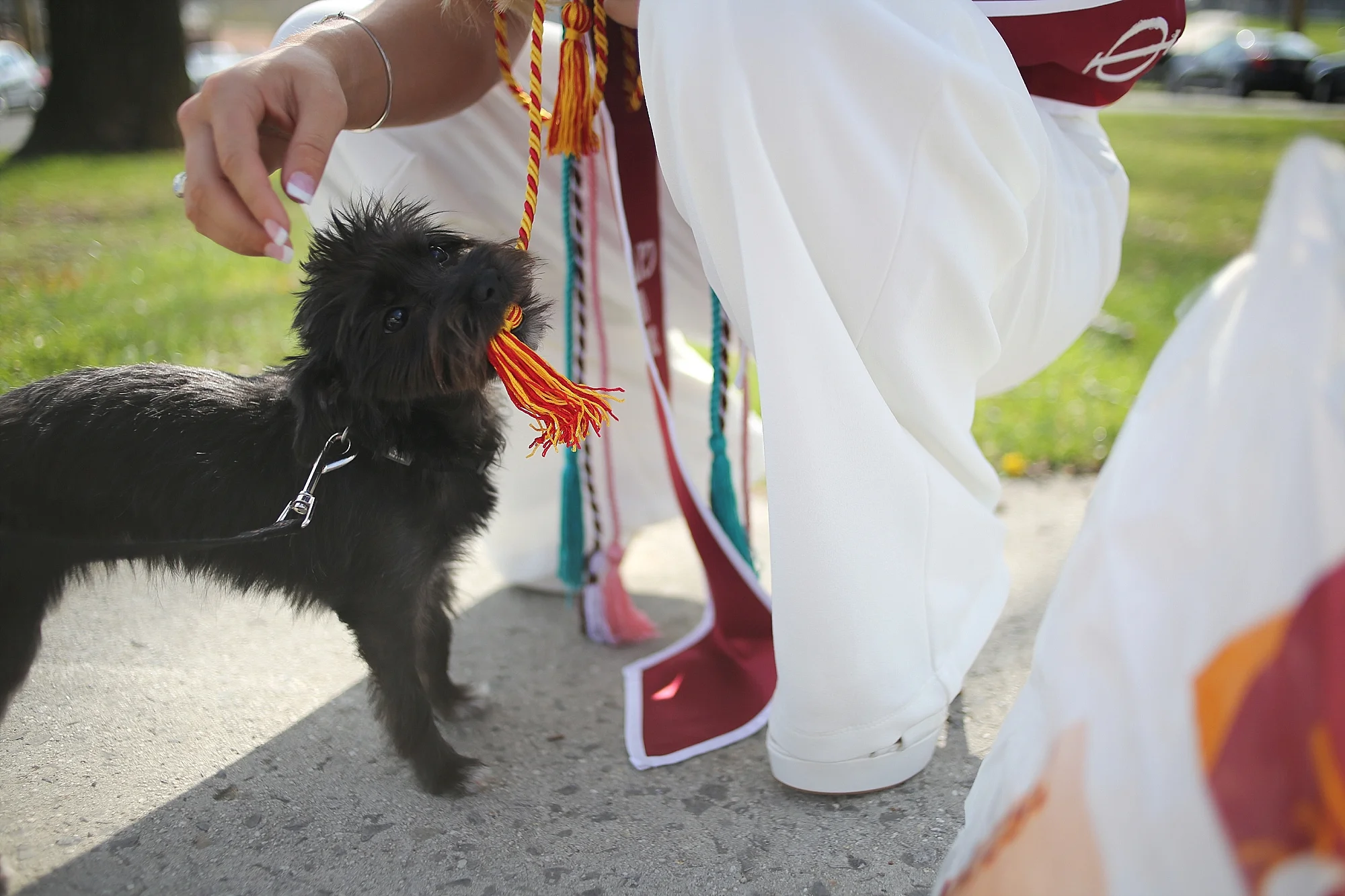 Amber | Virginia Tech Graduation Portrait Photographer Hokie Cheerleader Senior Portrait Photographer, Holly Cromer