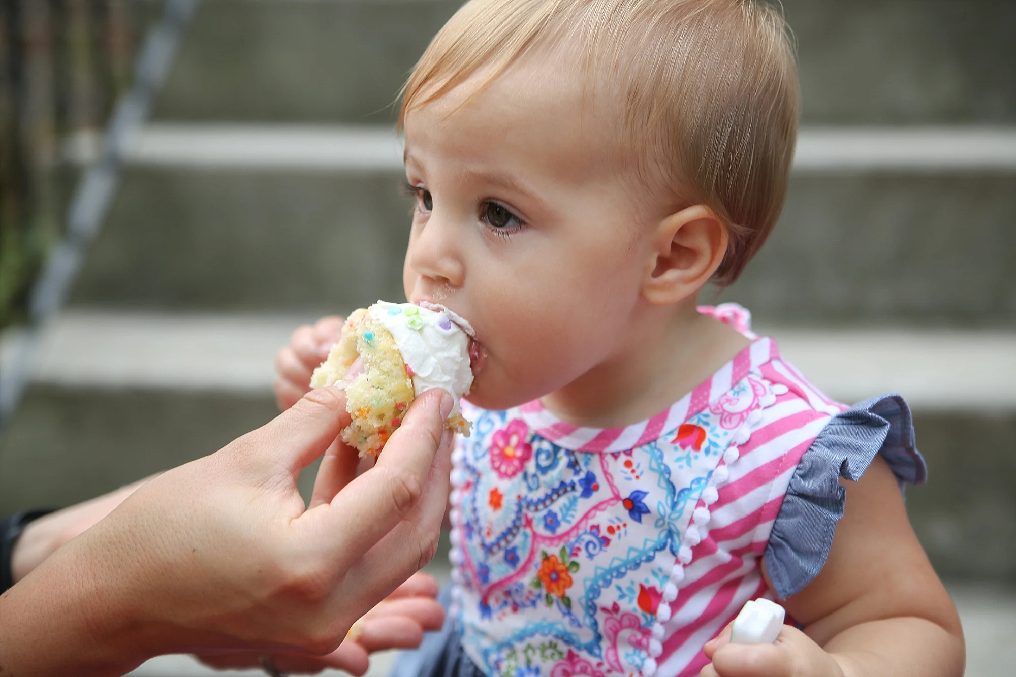 Skylar's First Birthday Cupcake Smash | Blacksburg Family Photographer, Holly Cromer