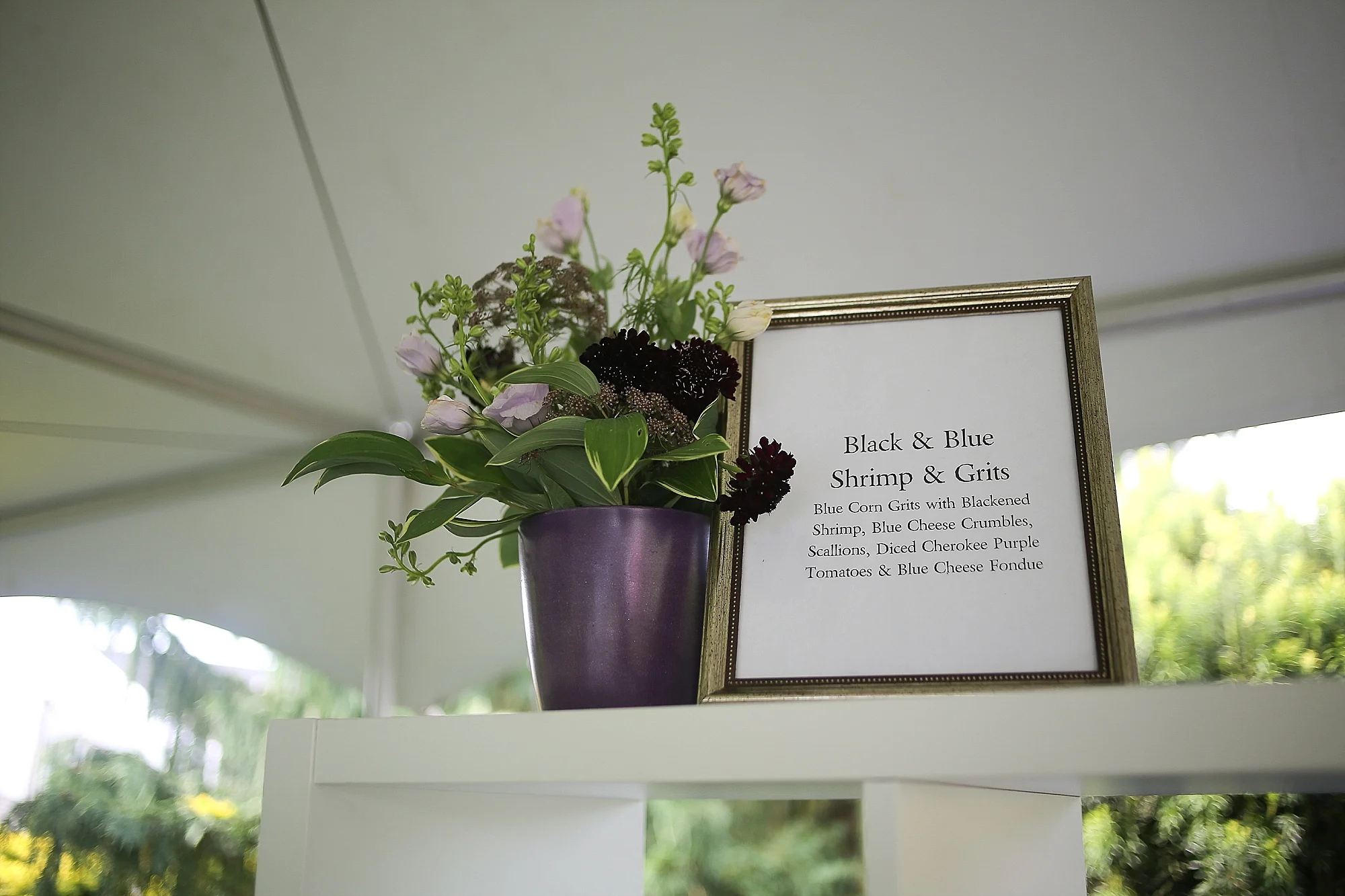 Hahn-Horticulture-Garden-Gala-2018-Virginia-Tech-Blacksburg-Photographers_0057.jpg