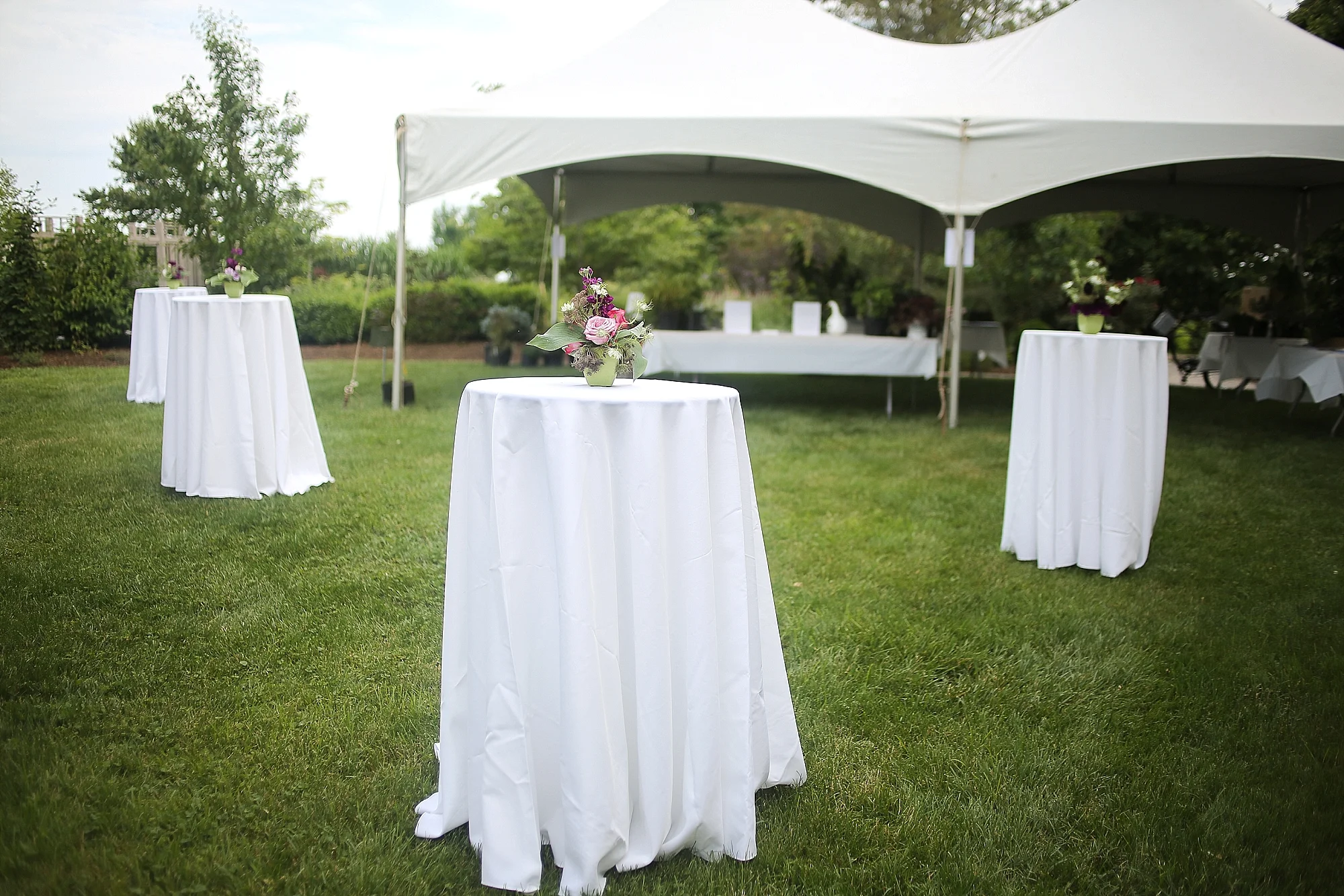 Hahn-Horticulture-Garden-Gala-2018-Virginia-Tech-Blacksburg-Photographers_0028.jpg