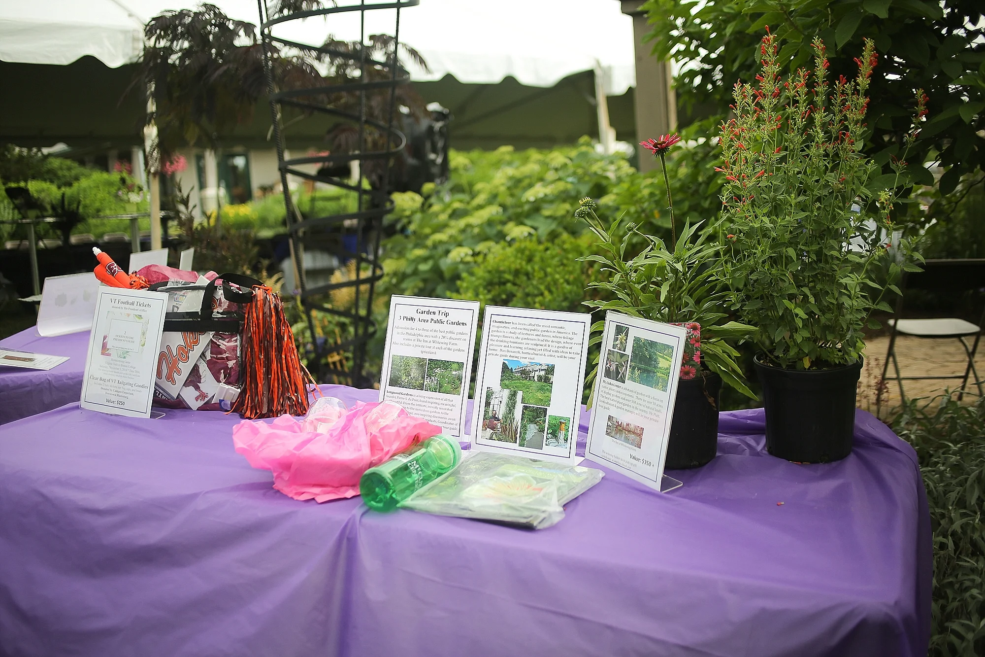 Hahn-Horticulture-Garden-Gala-2018-Virginia-Tech-Blacksburg-Photographers_0044.jpg