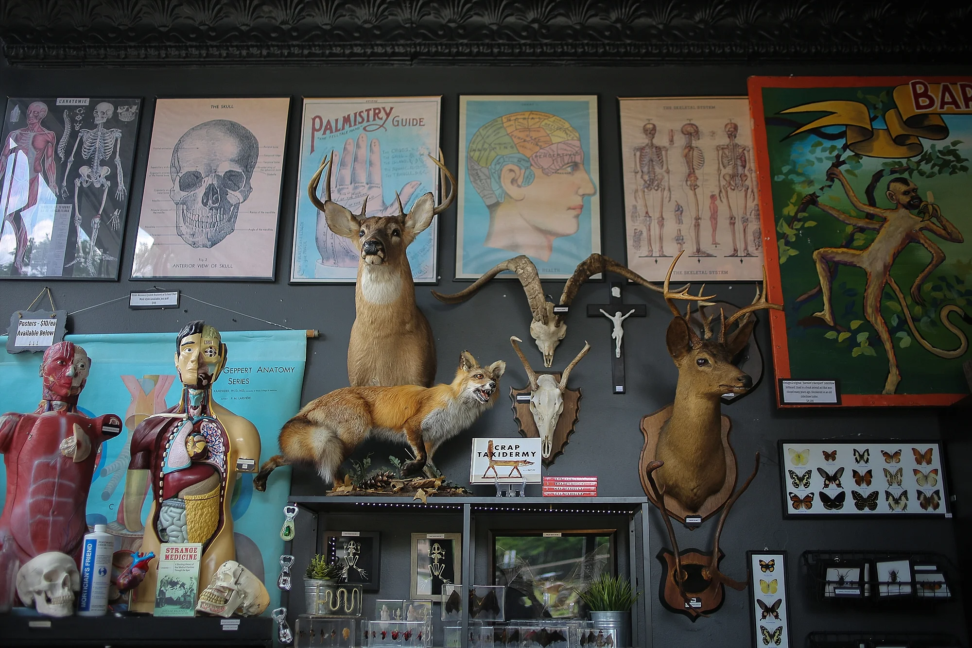 Rest in Pieces | Richmond, Virginia