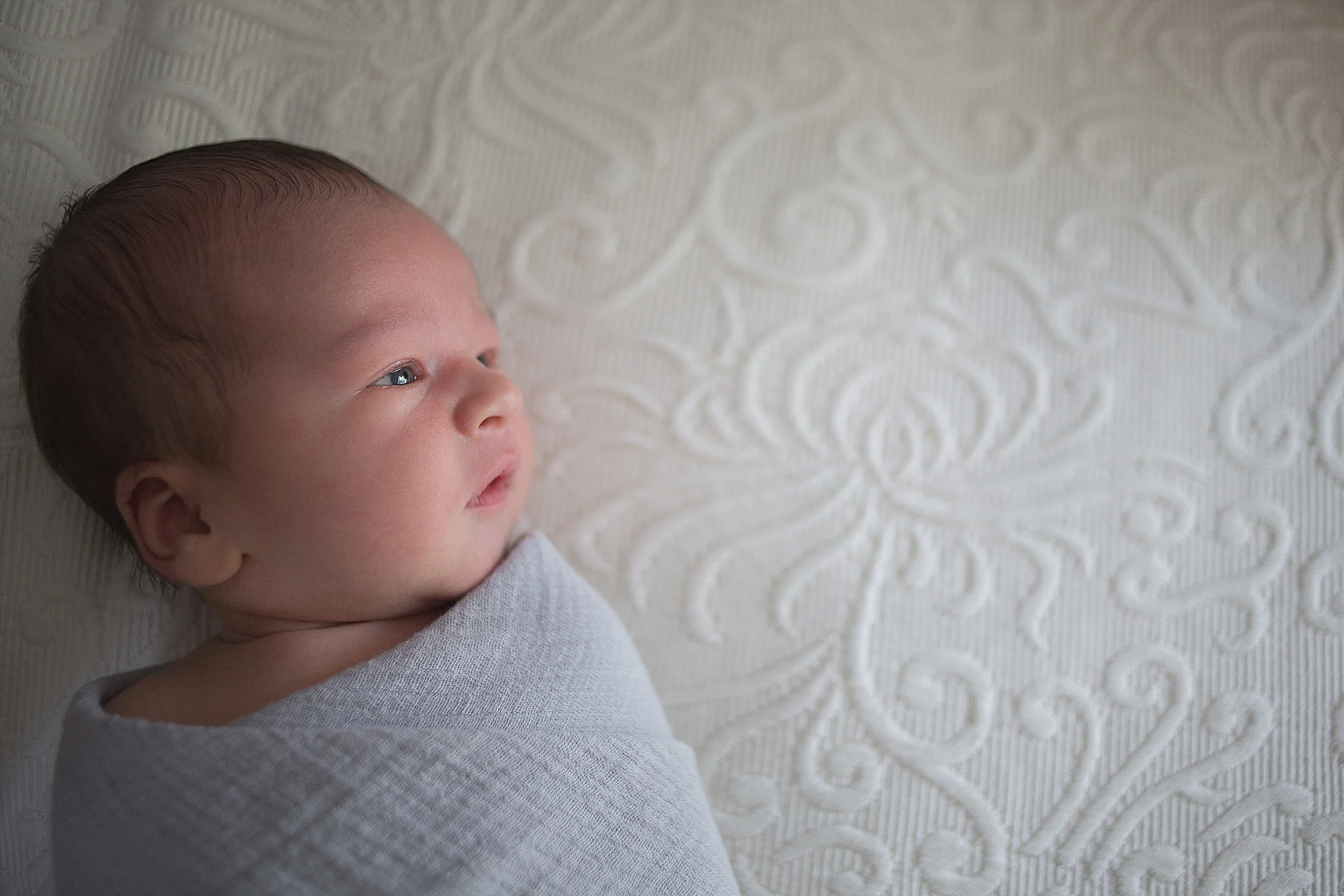 Newborn Baby William | Christiansburg Newborn Baby Photographer, Holly Cromer