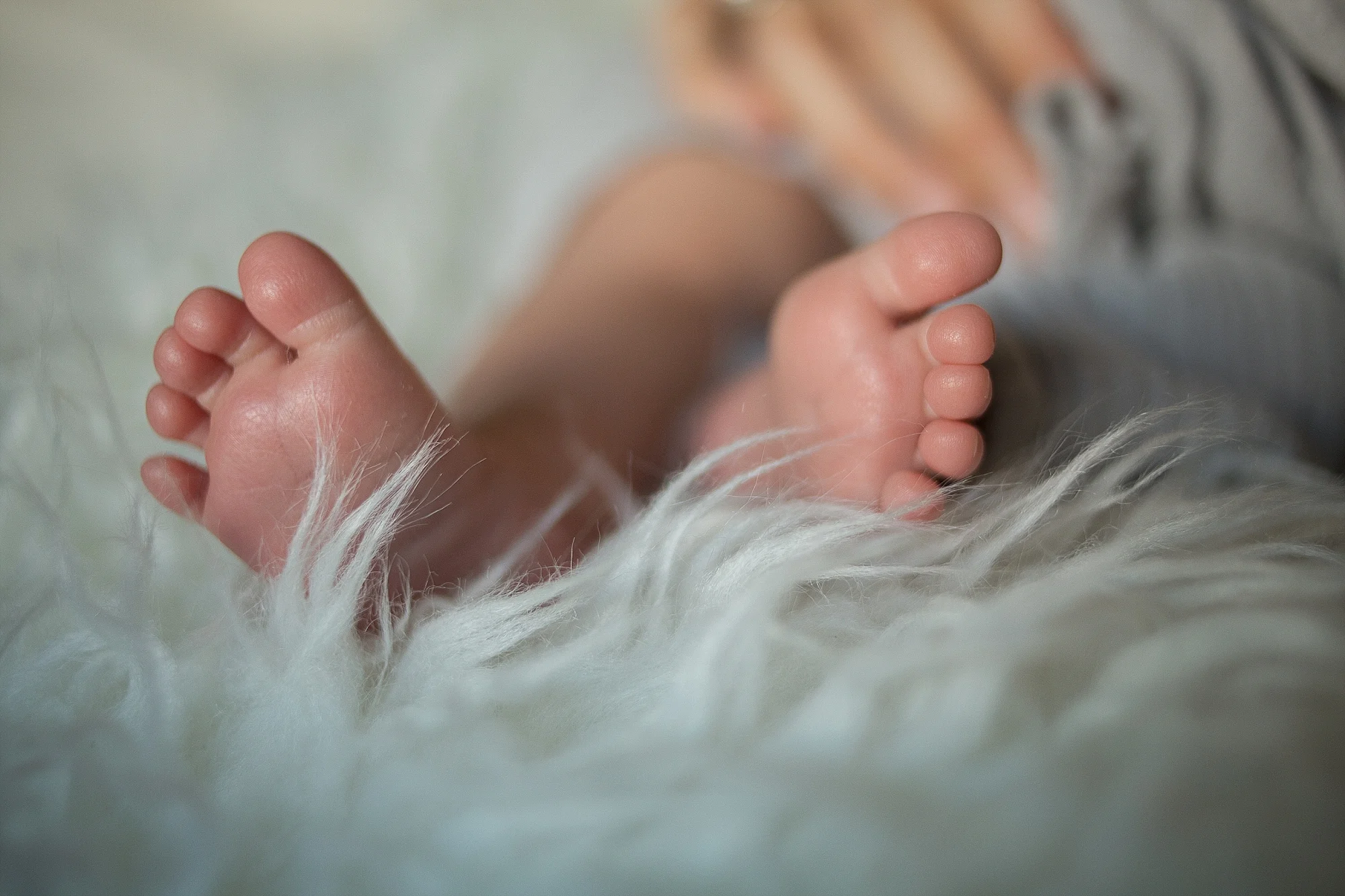 Newborn Baby William | Christiansburg Newborn Baby Photographer, Holly Cromer