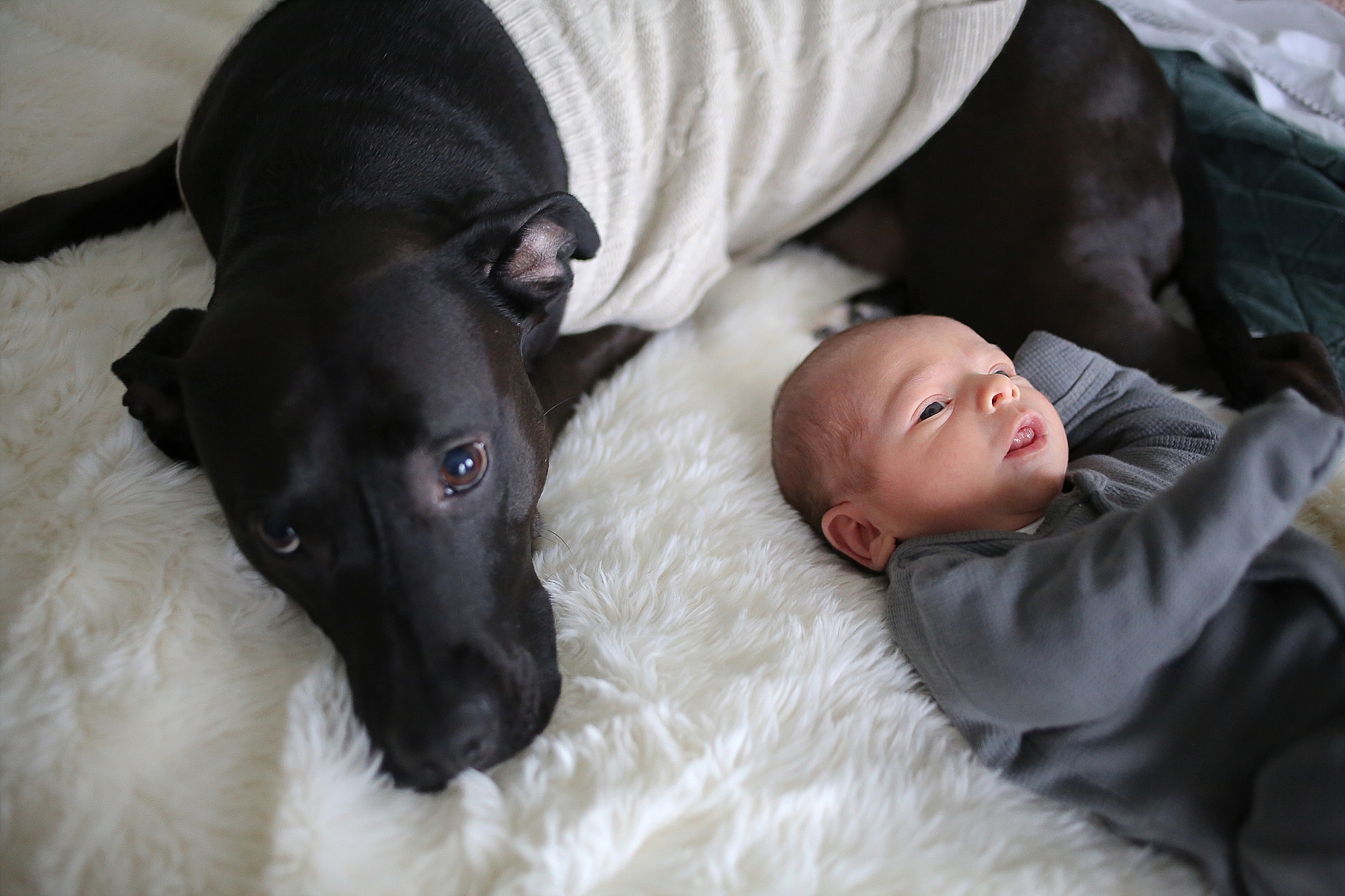 Blacksburg Newborn Baby Photographer, Holly Cromer