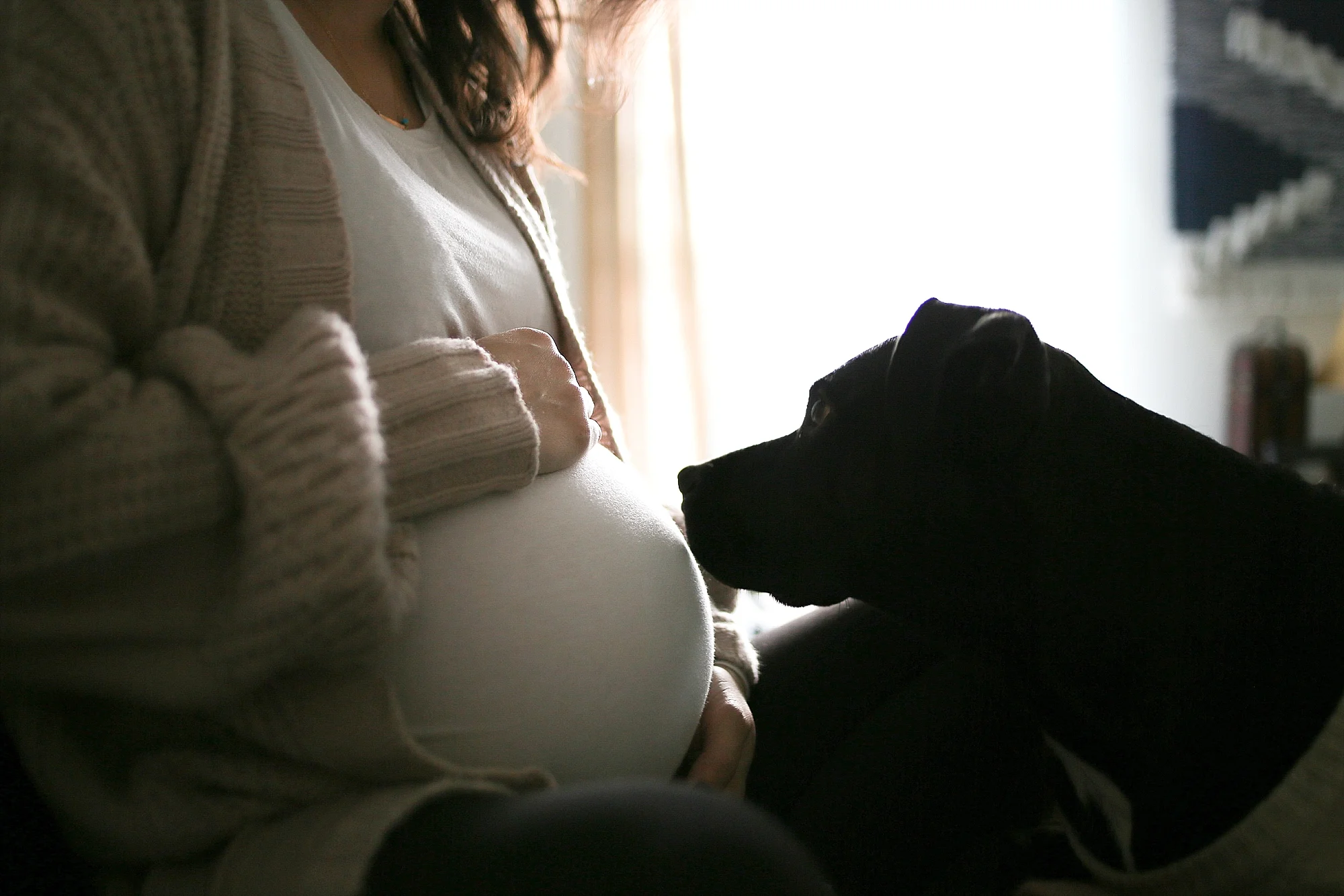 Mallary + Steven are Expecting! | Blacksburg Lifestyle In Home Maternity Photographer, Holly Cromer