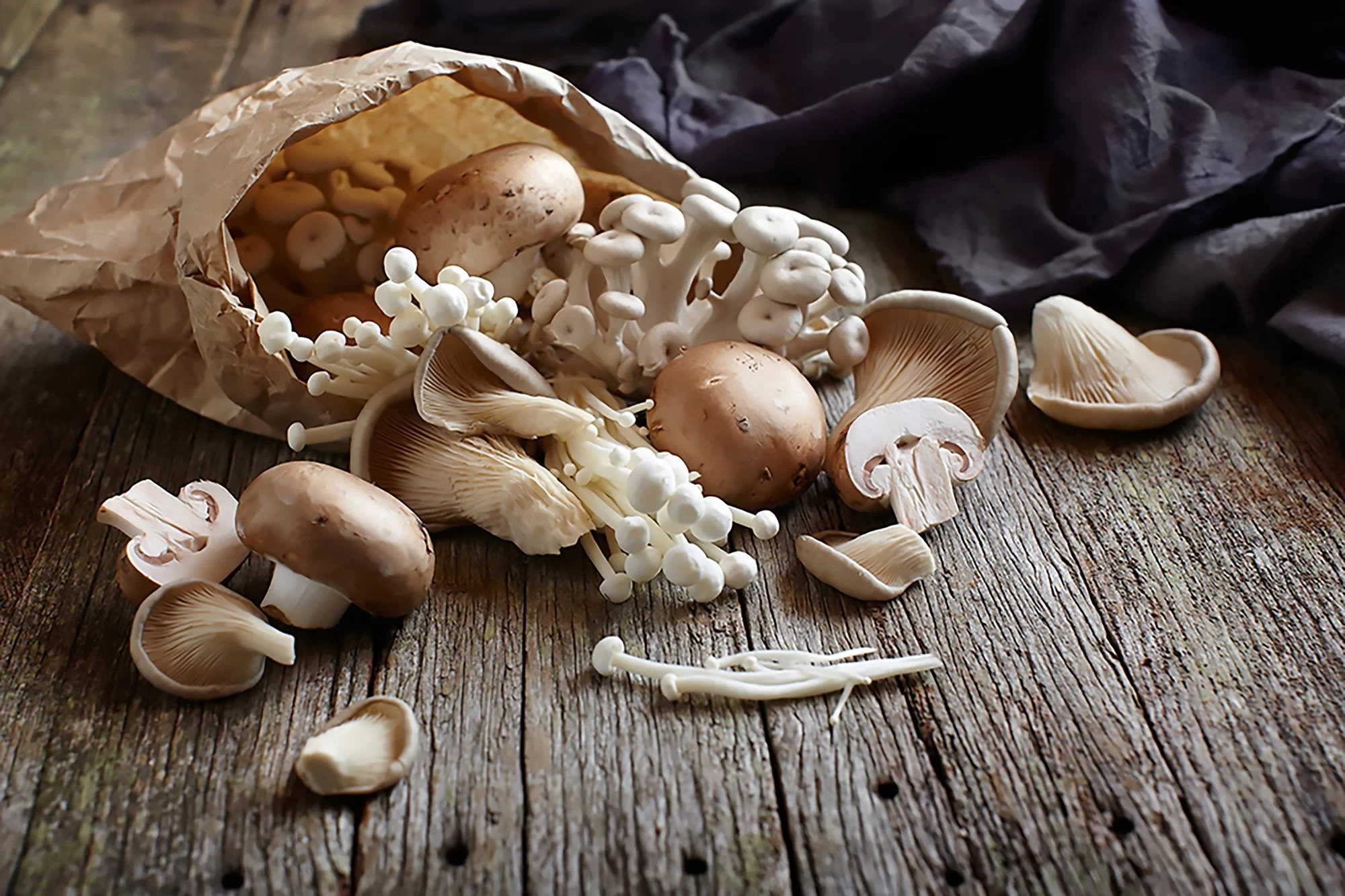 mushrooms.jpg