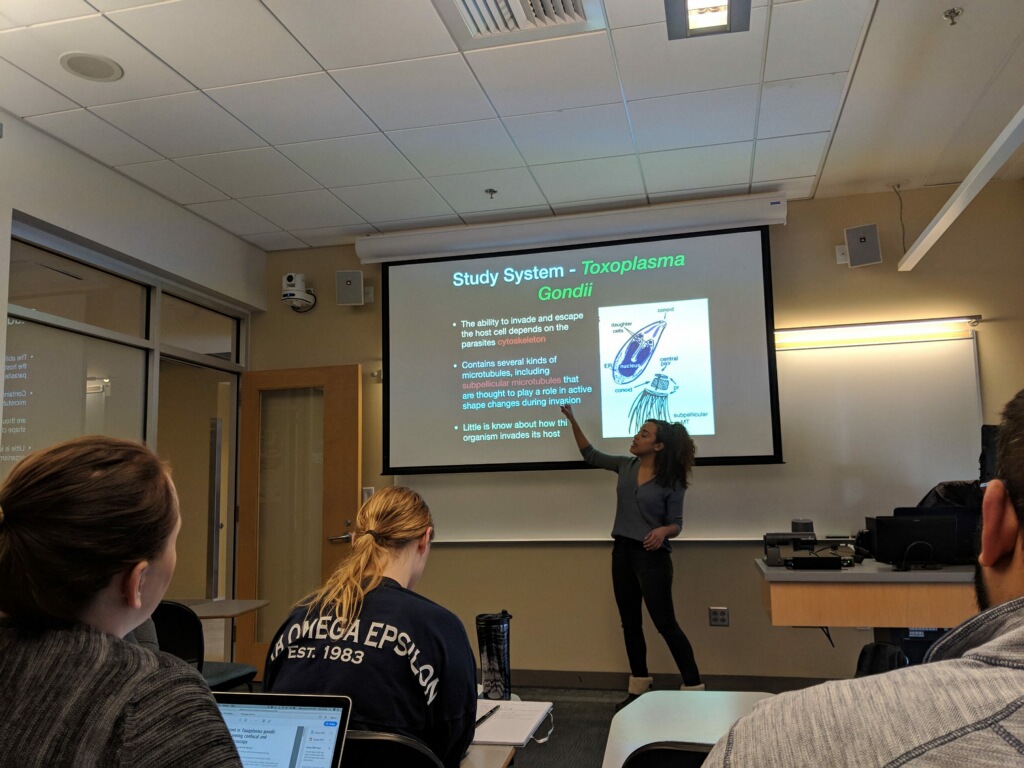 Michelle presenting on Widefield Microscopy with deconvolution using the model organism Toxoplasma Gondii.