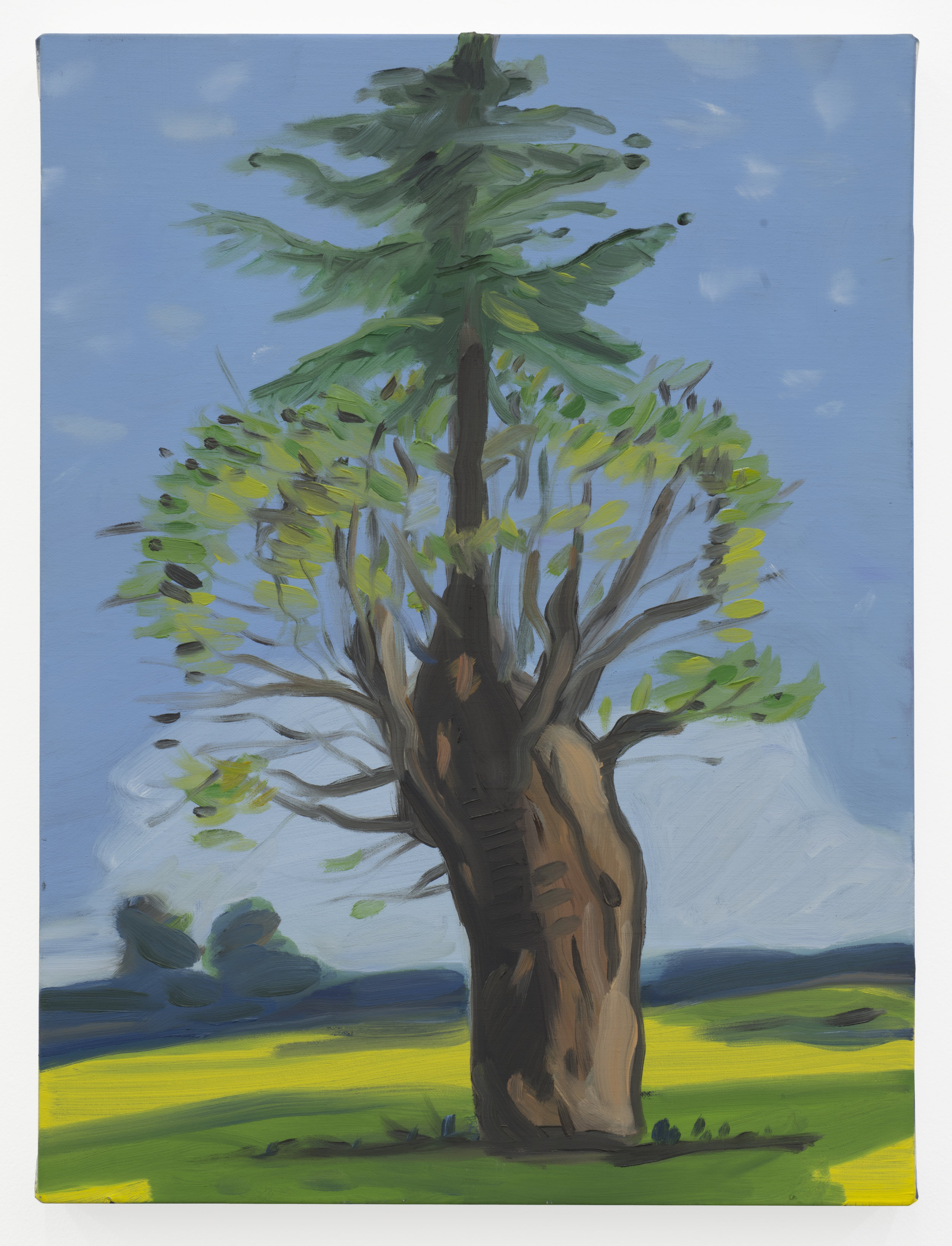  Tree, 2017, oil on linen, 12 x 16 inches. 