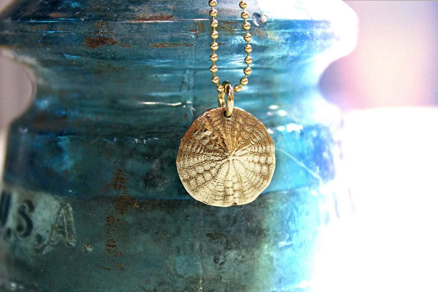 sand+dollar+close+up.jpg