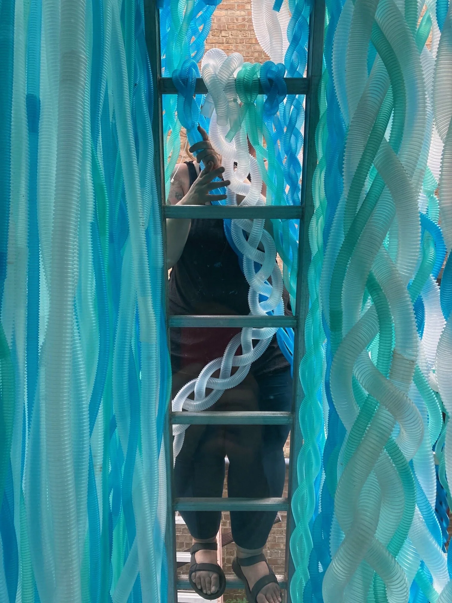 Feeler Process 1.JPG