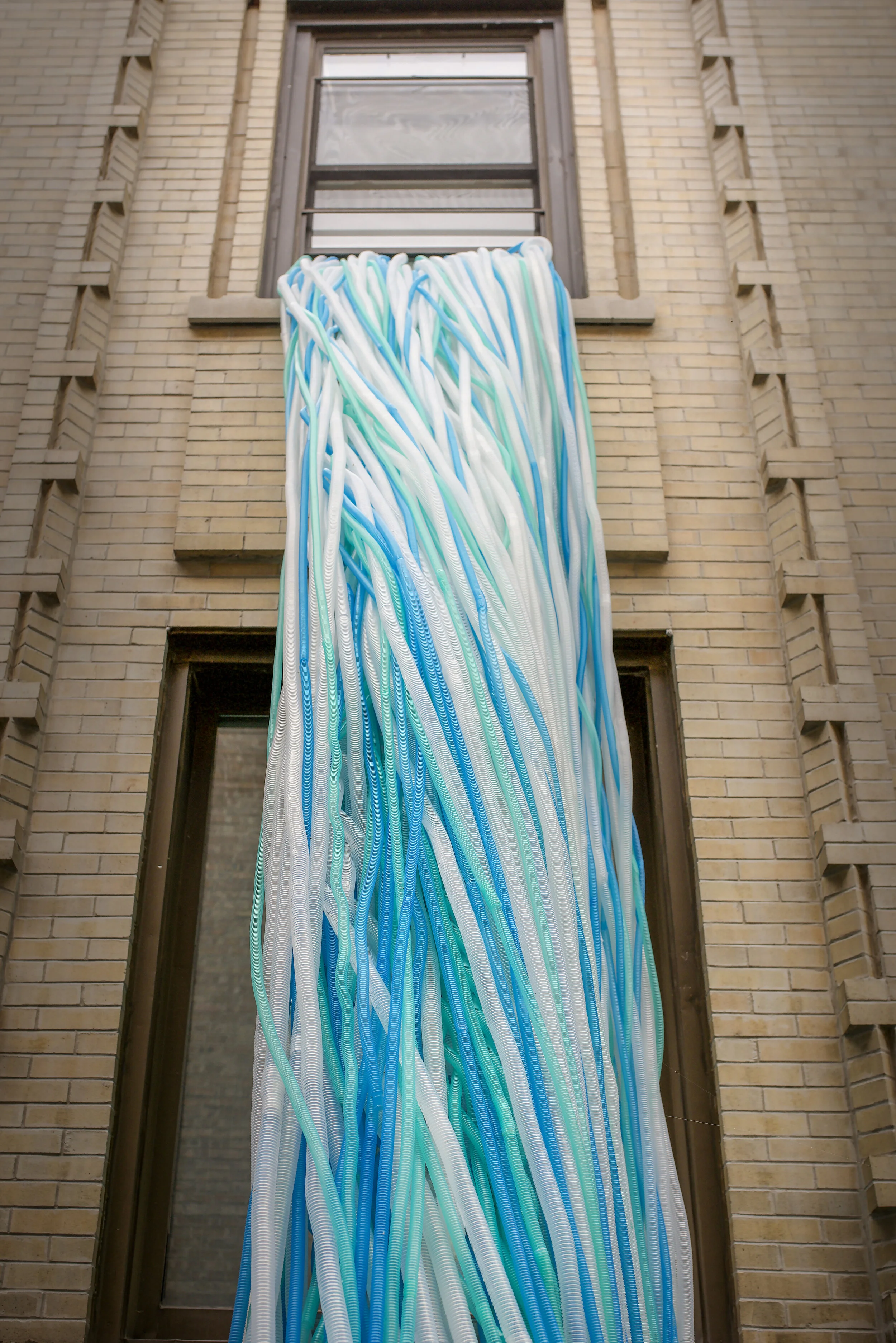 Photo by Gloria Araya - 31E42B4F-169C-4CB0-B09F-B2FCC877E5E6_1_100_o.JPG